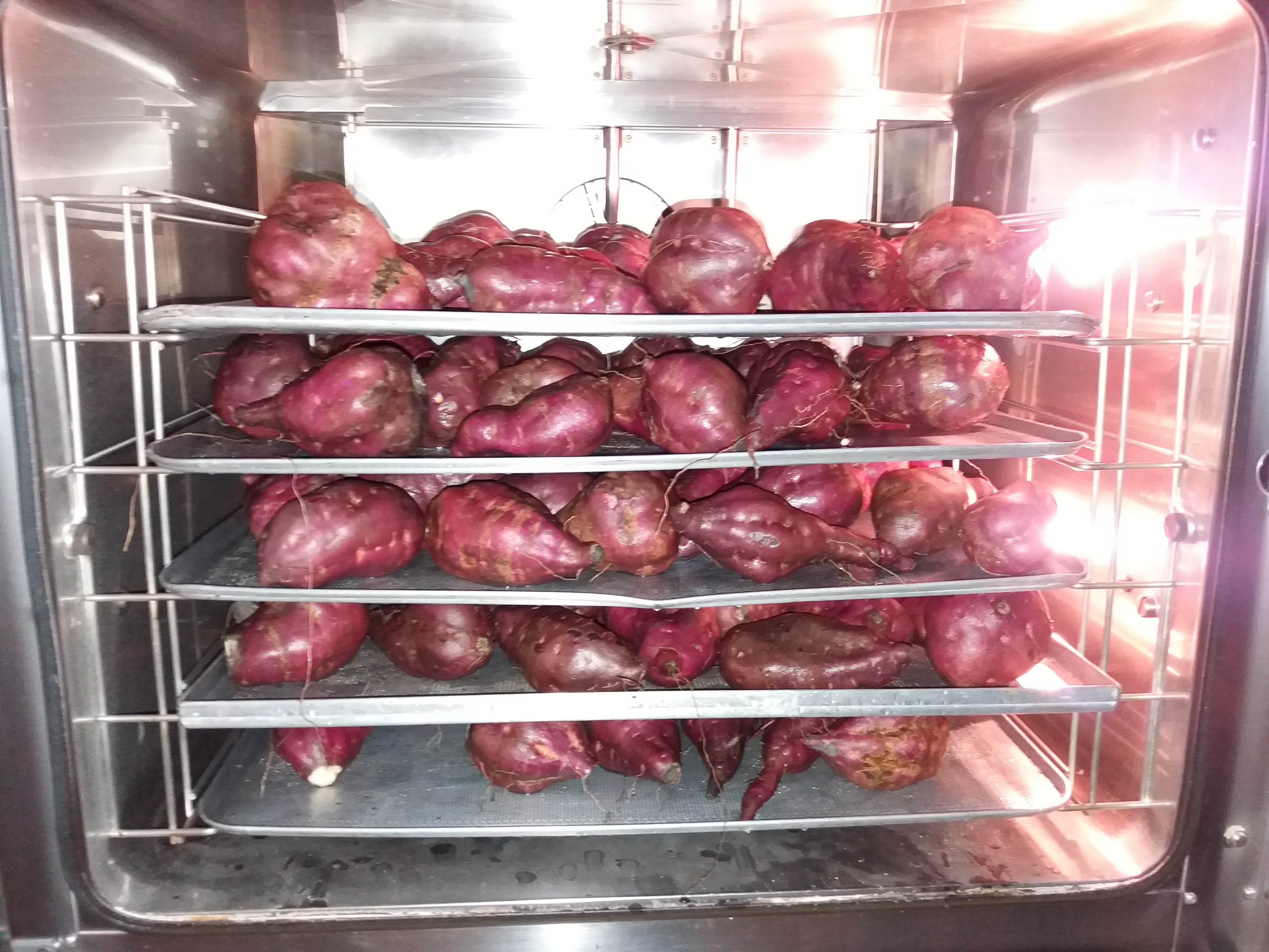 1550443506918-Marafada-Ale-n-Tejo-Batata-Doce-12