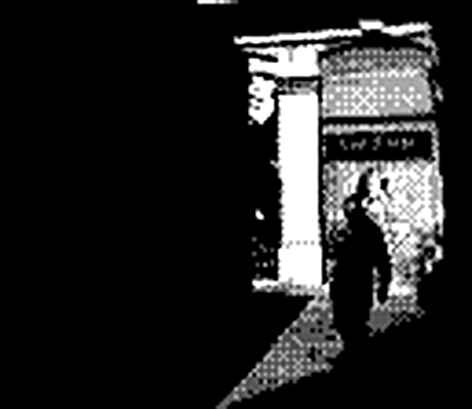 turistas barcelona madrid game boy camera fotos