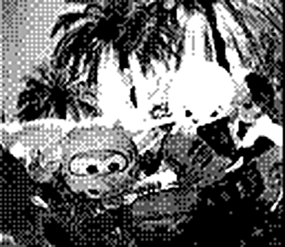 turistas barcelona madrid game boy camera fotos