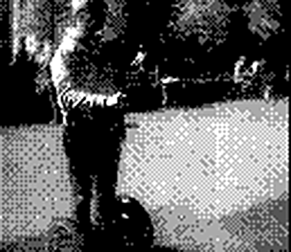 1550677054150-mdr_gameboycamera009