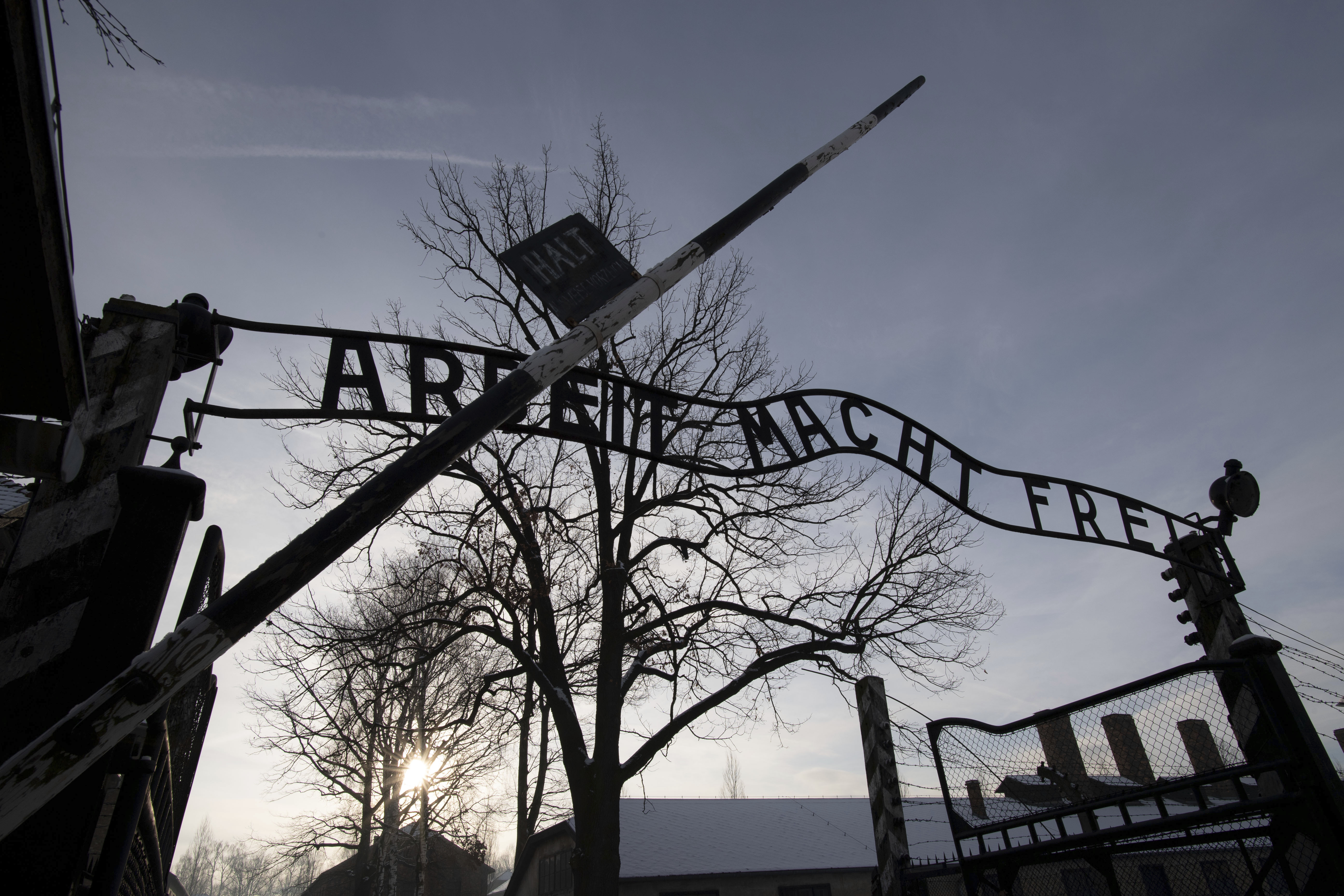 Afd Nazi history