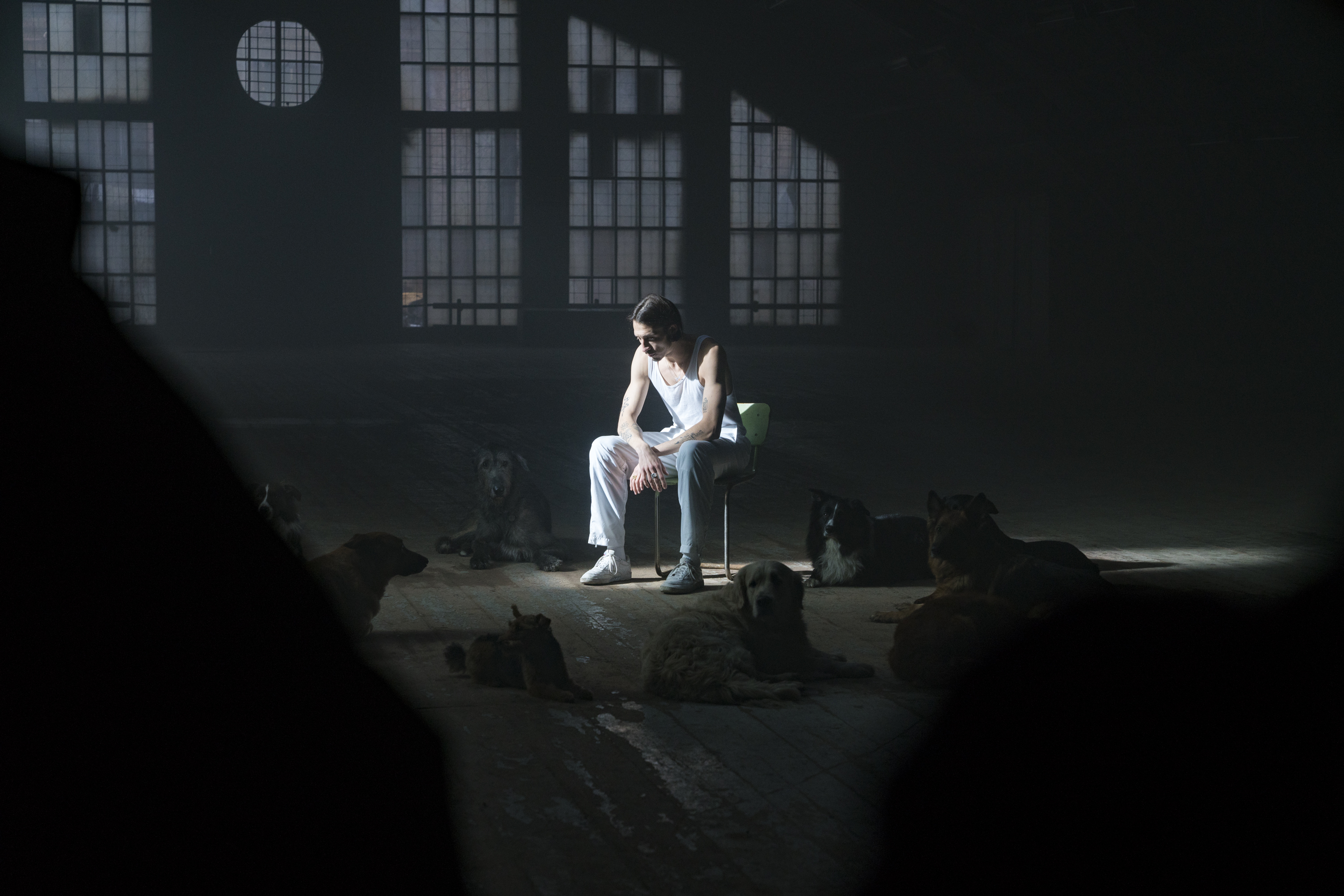 romeo-elvis-malade-straussphere-behind-the-scenes-honden-in-hal