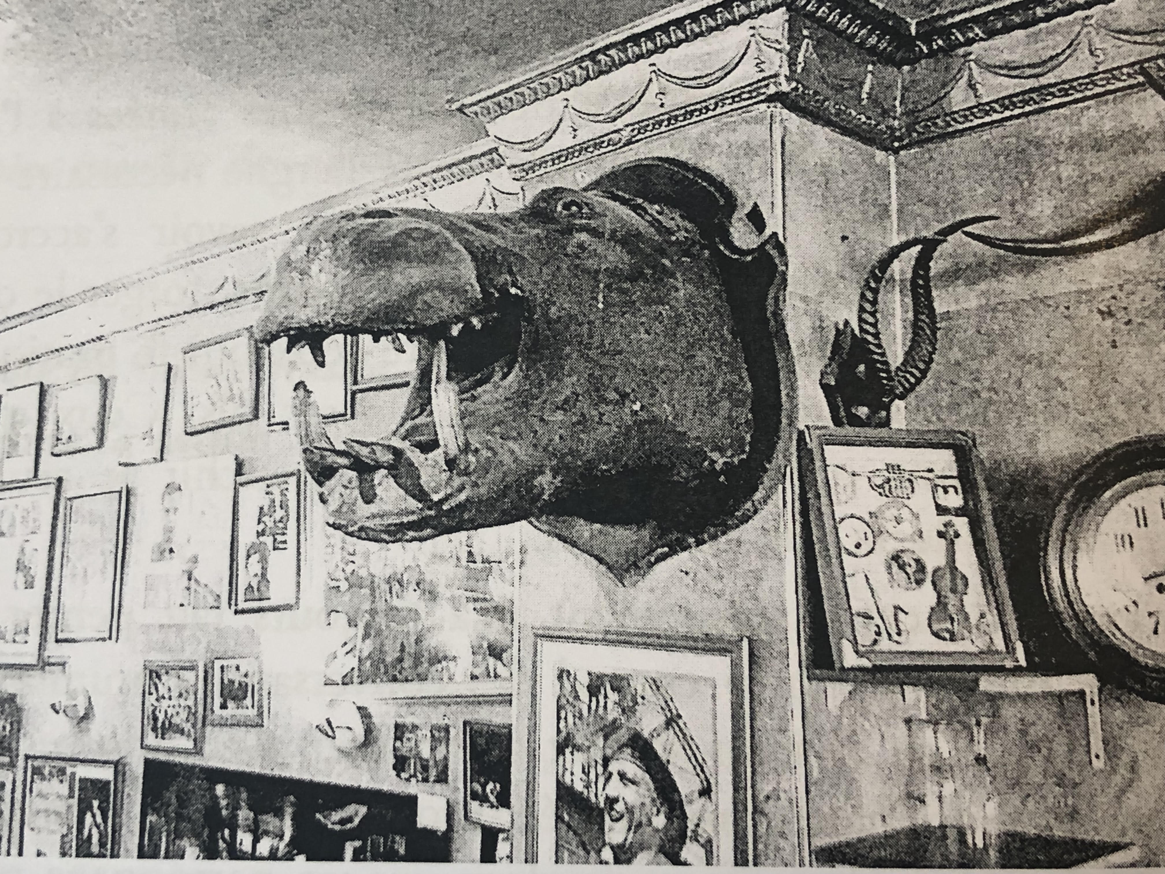 Walczak Tête d'hippopotame