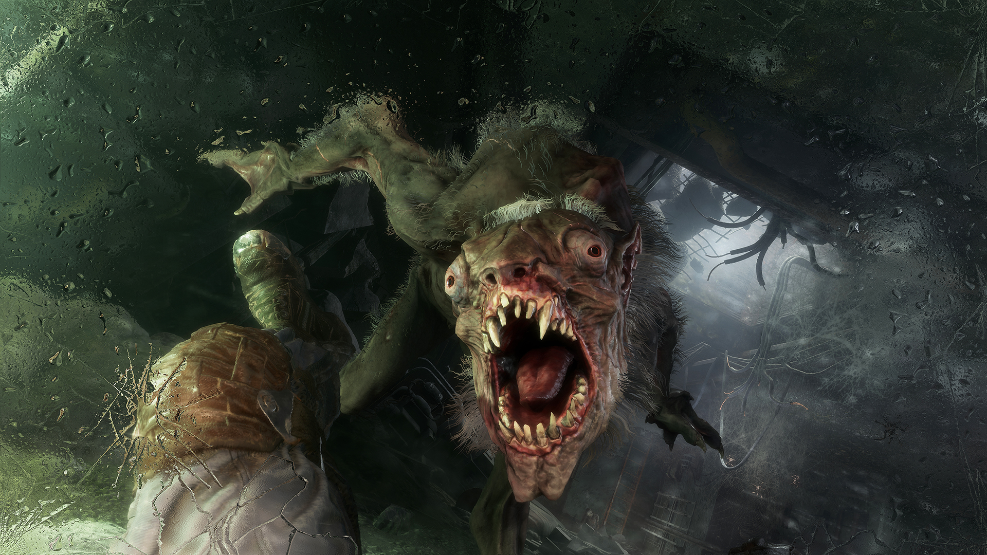 Metro Exodus mutant