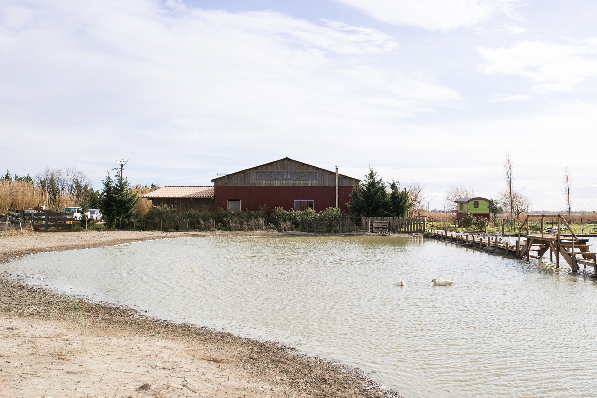 1551179401814-02-Ferme-de-Bernard-Maison-ecologique-auto-construite-et-lac-artificiel-fait-par-B