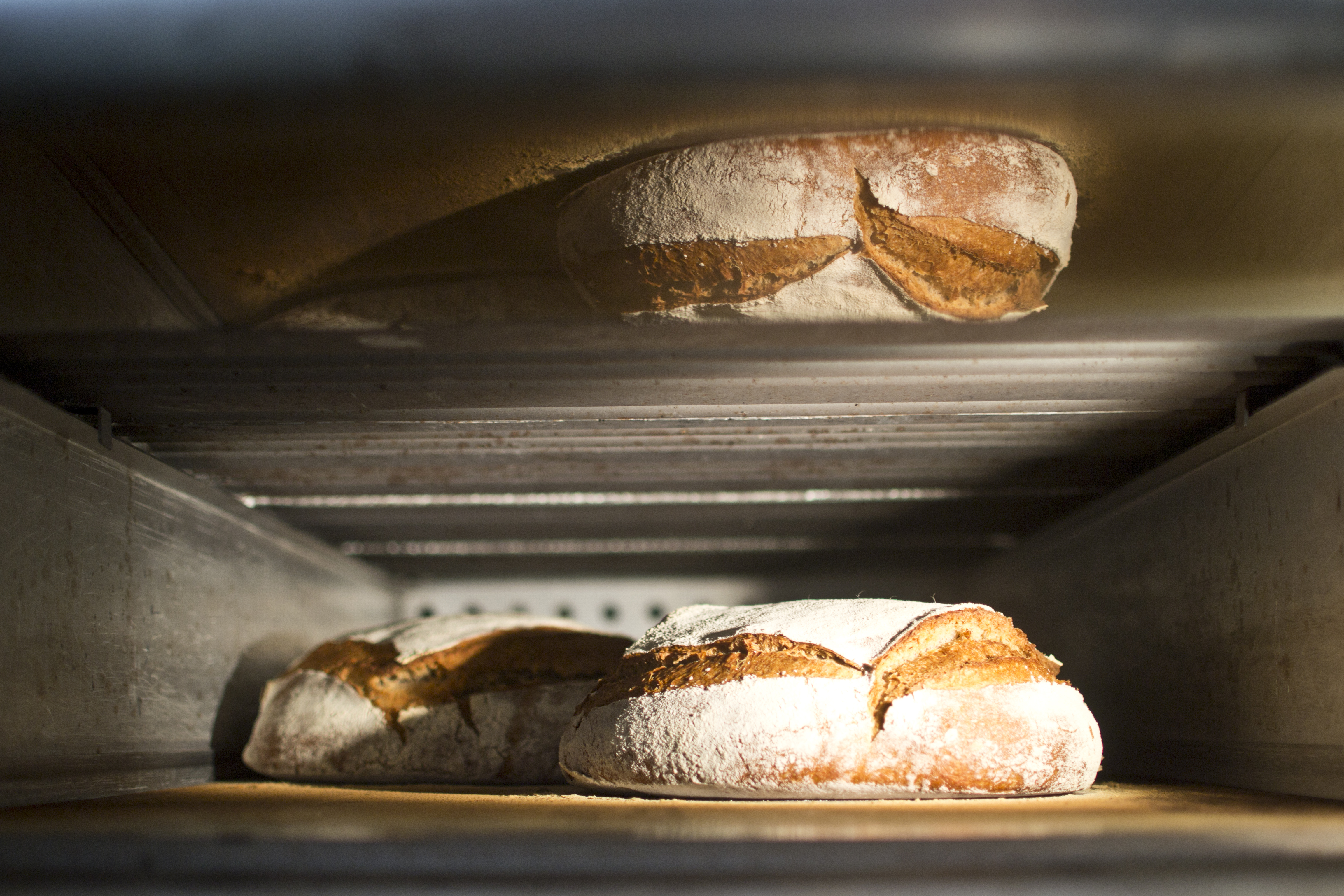Pane in forno Forno Brisa