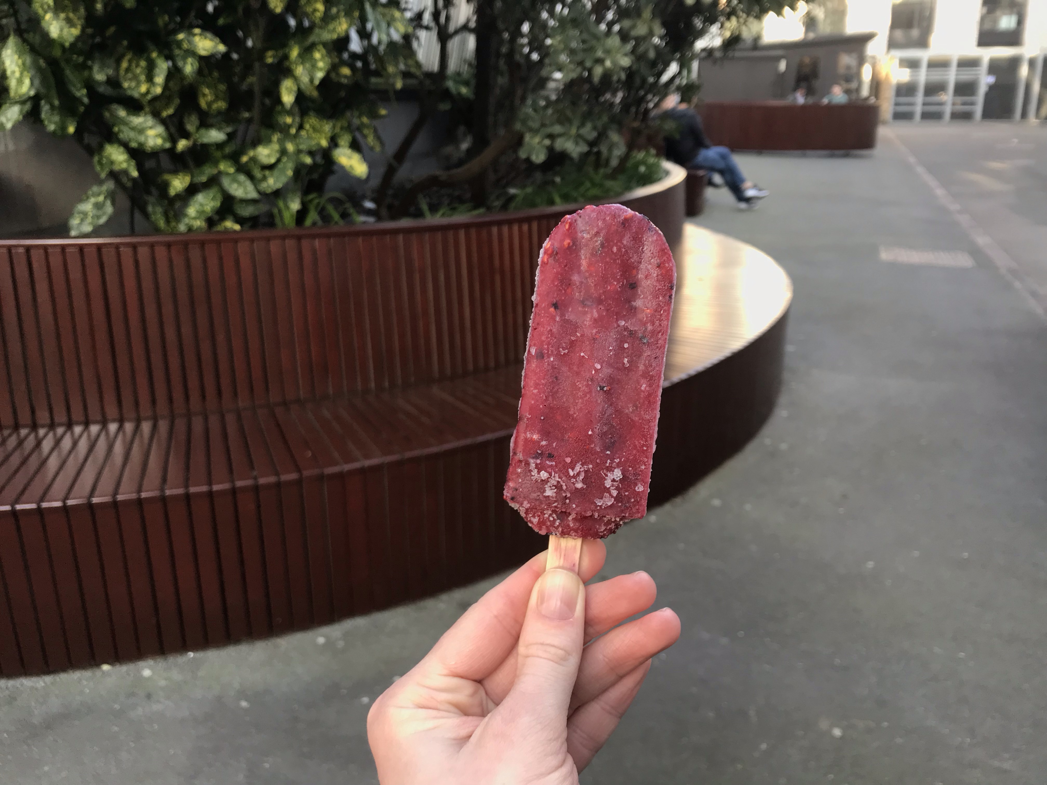 Ice Lolly Global Warming Behaviour
