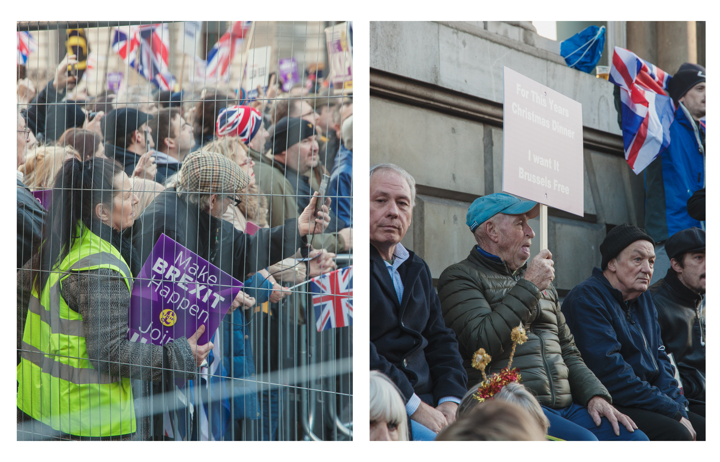 ukip members
