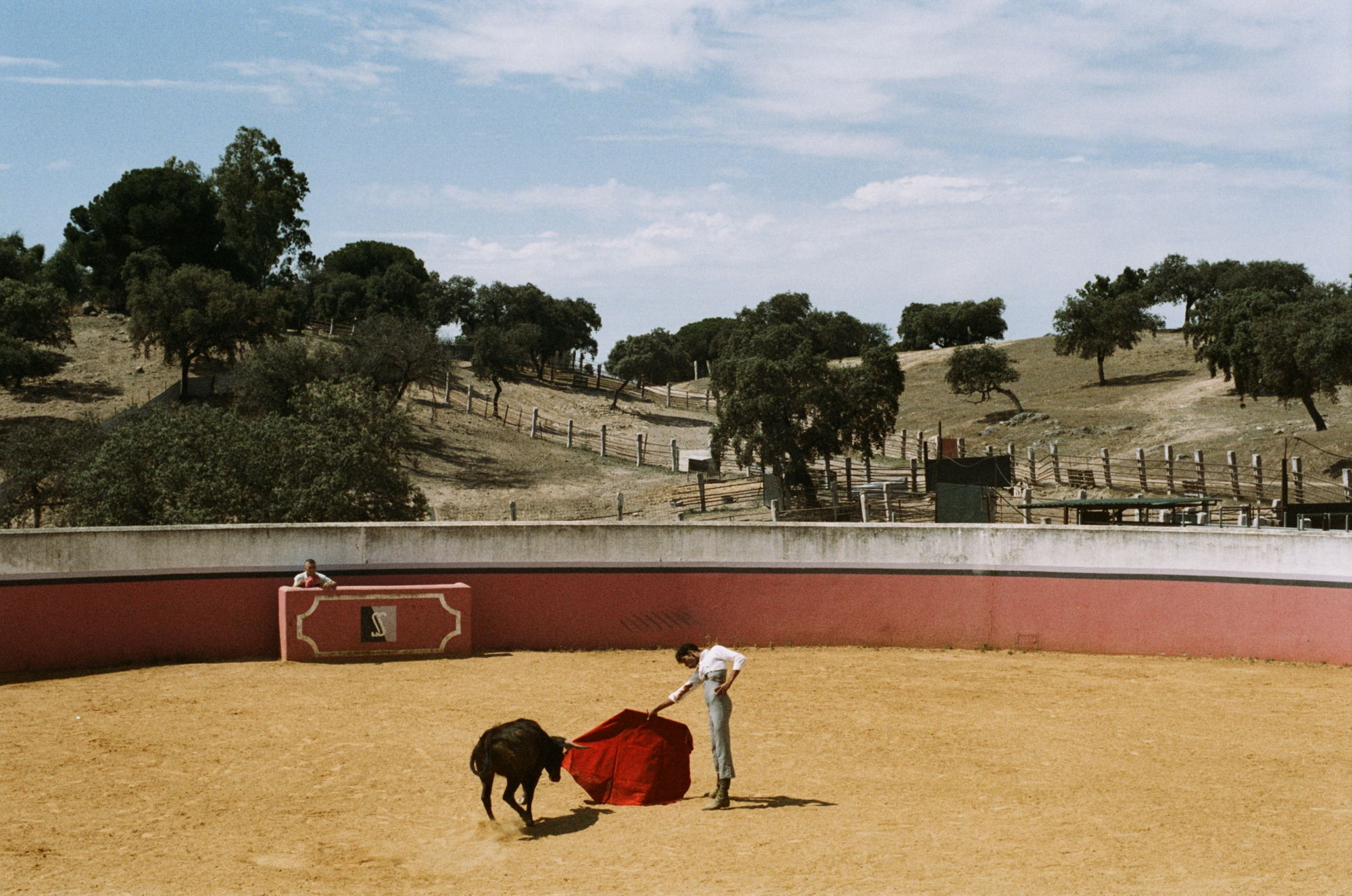 Kevin de Luis, bullfighter.