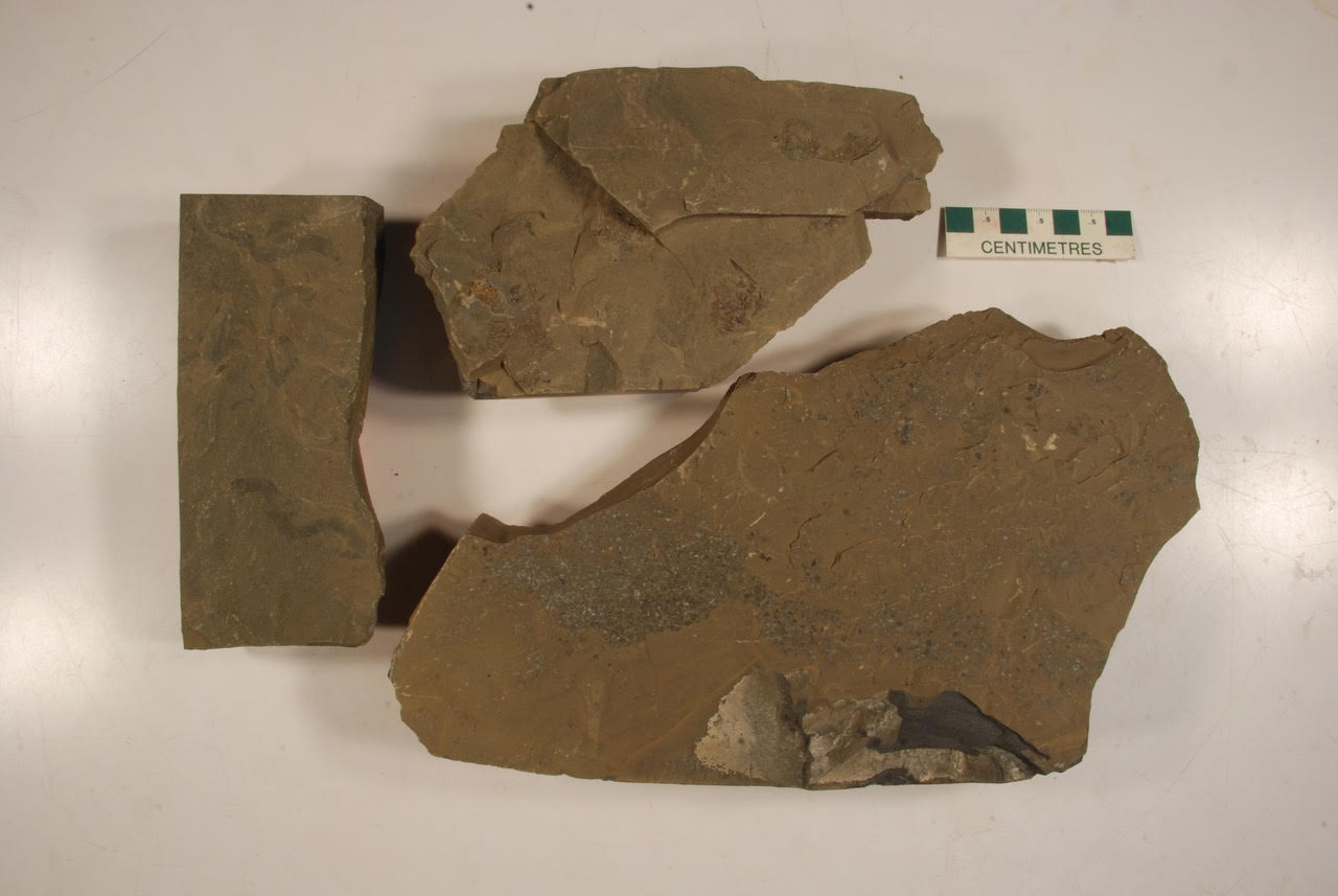 Shale samples.