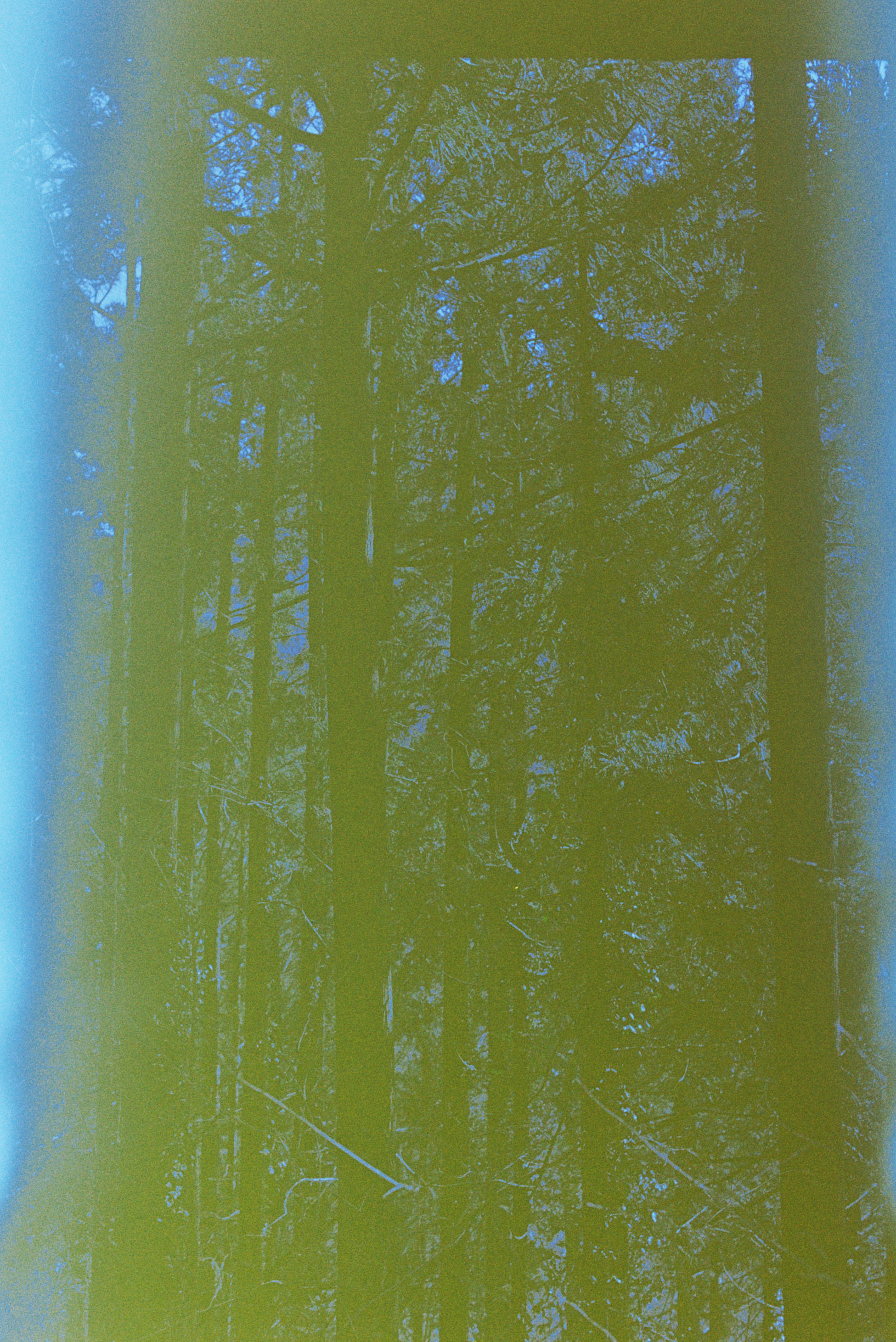 1551965768402-37