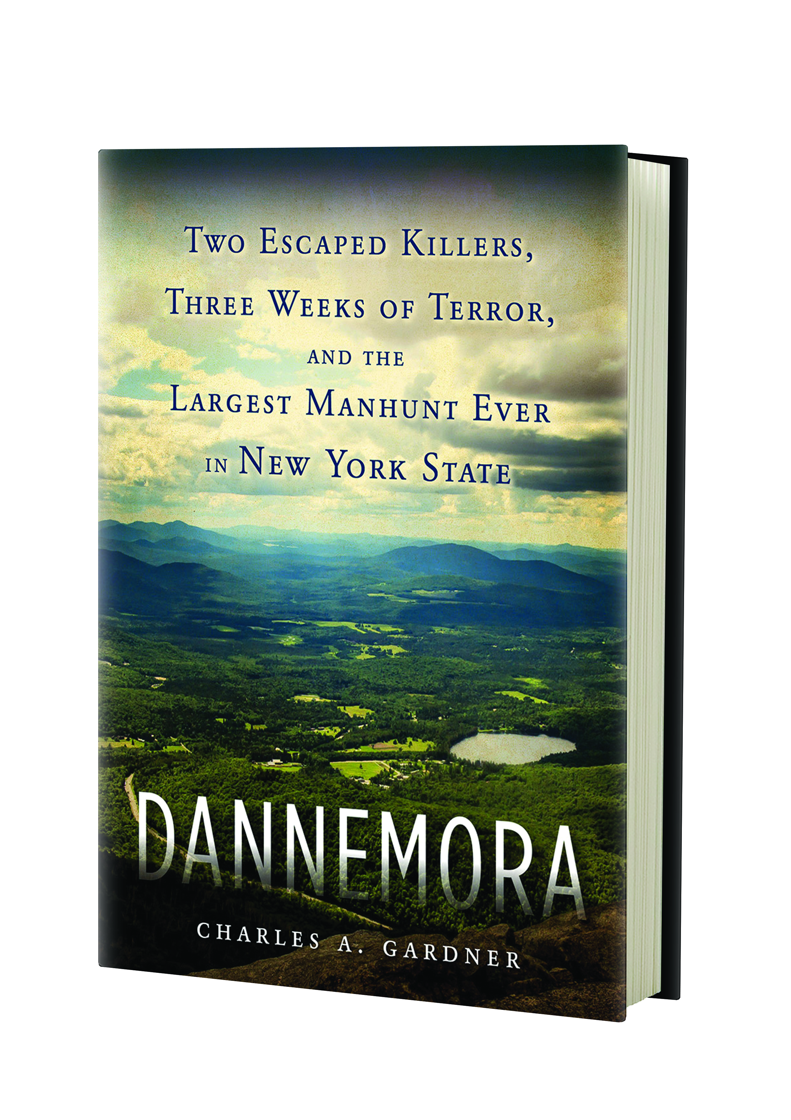 Dannemora book cover