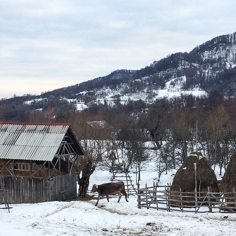 1552212381031-Agroturism-sate-Romania-7
