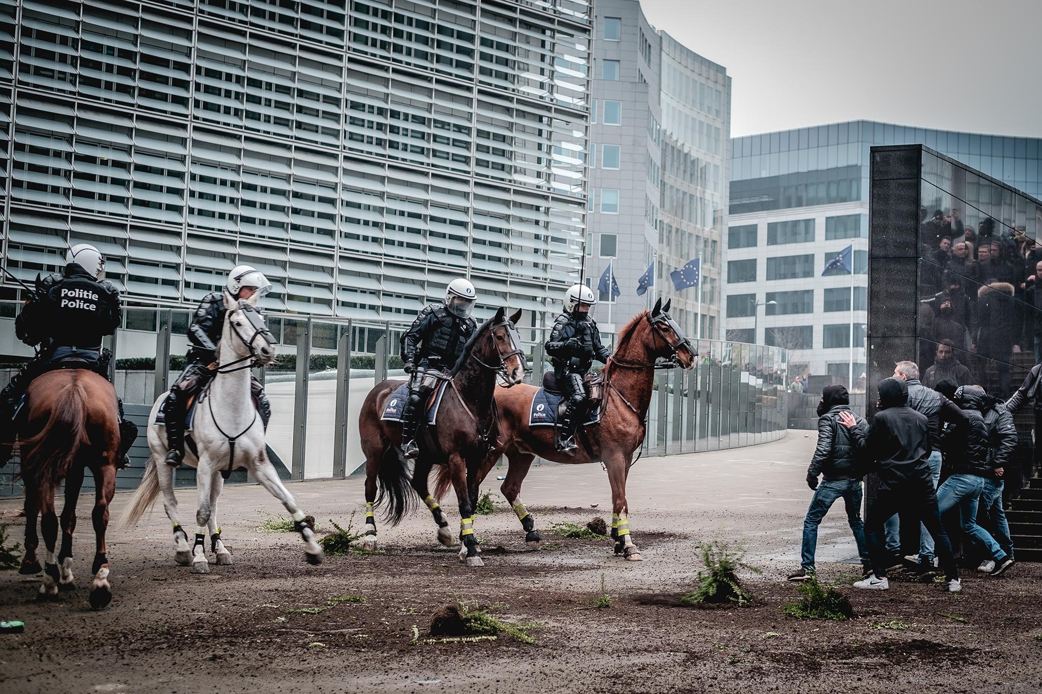 protest-brussel-europese-commissie-paarden-aurelien-ernst