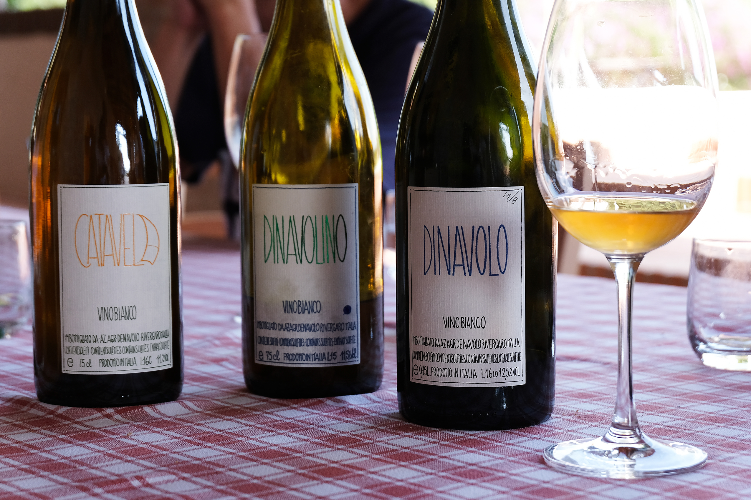 Vini piacentini senza solfiti