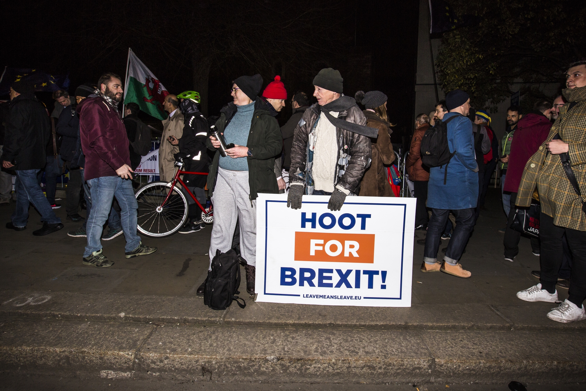 brexit voter