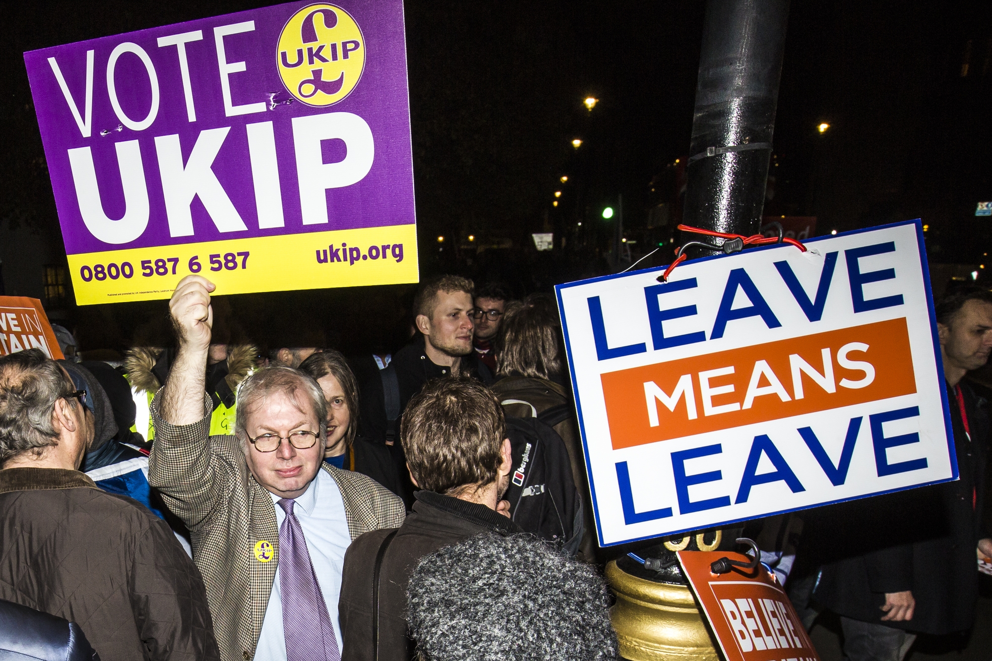 brexit ukip voter