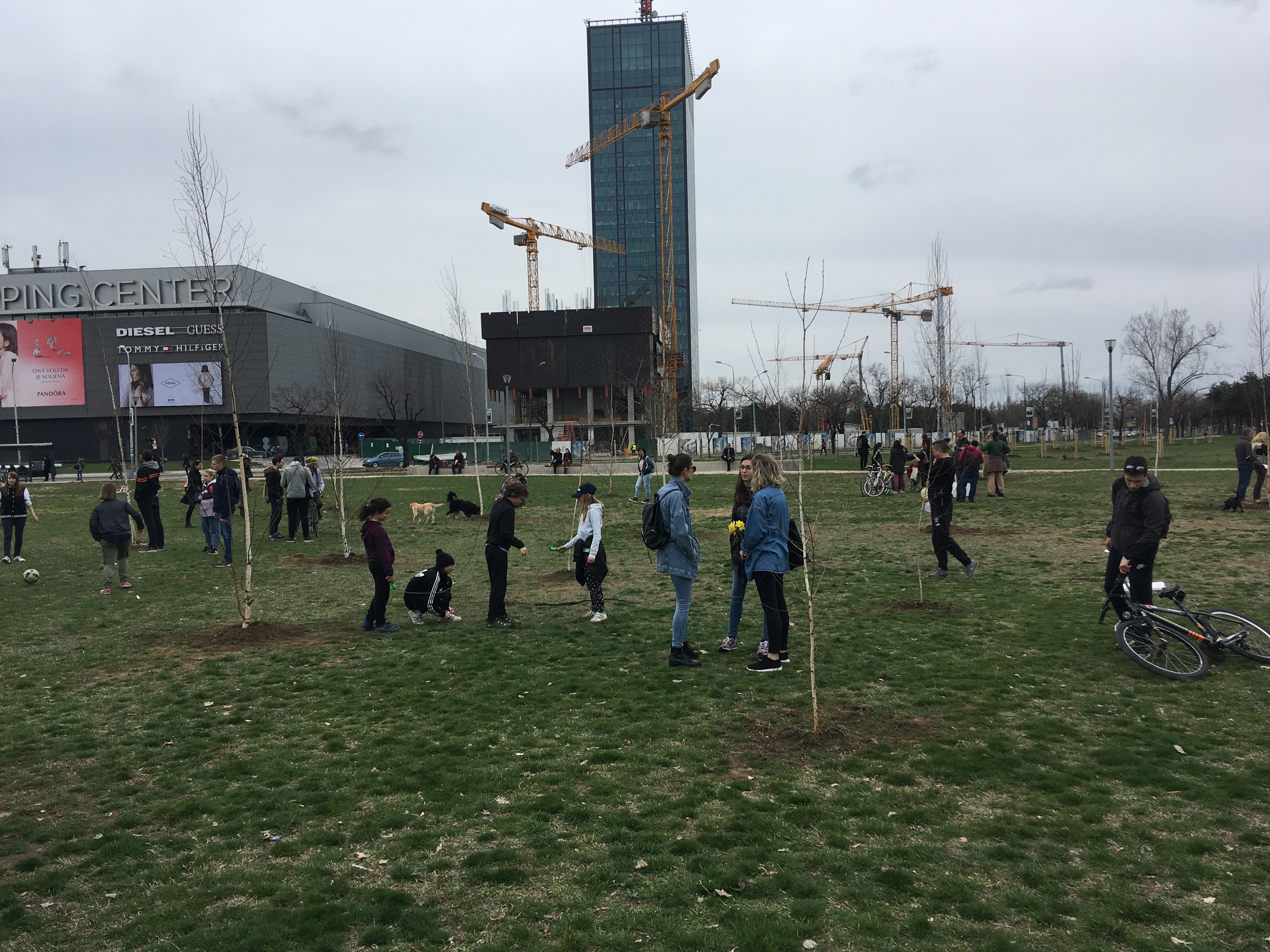 1552757439849-IMG_2145