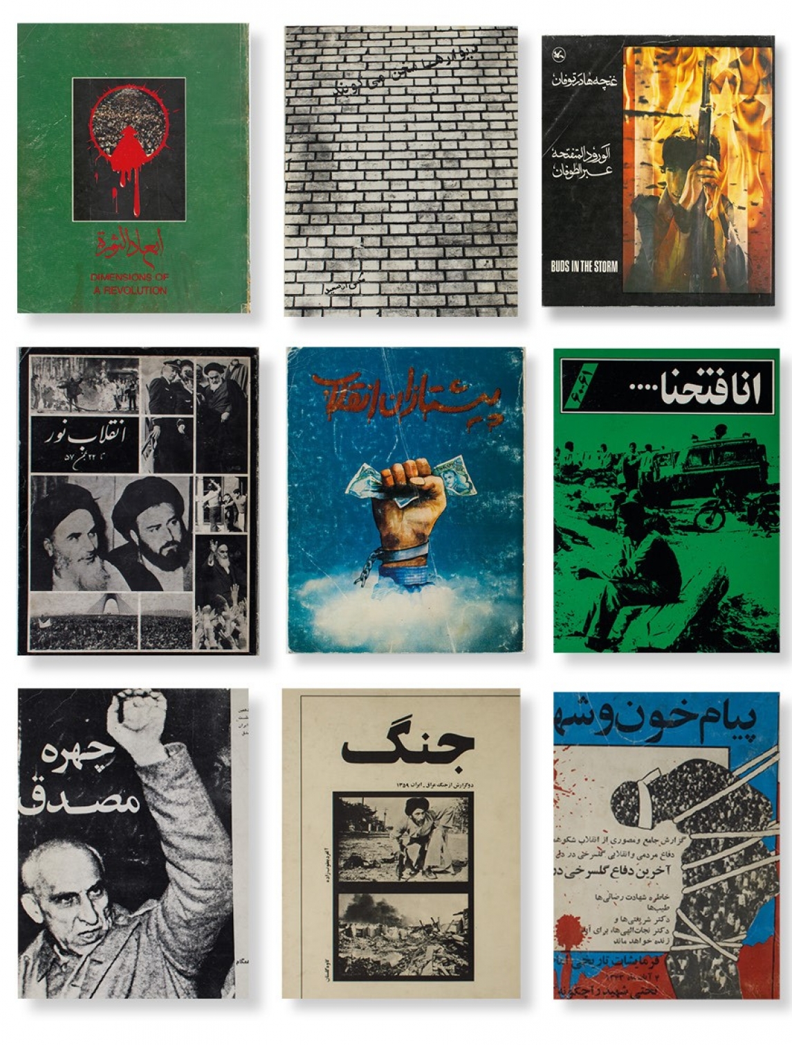 Hannah Darabi Iran