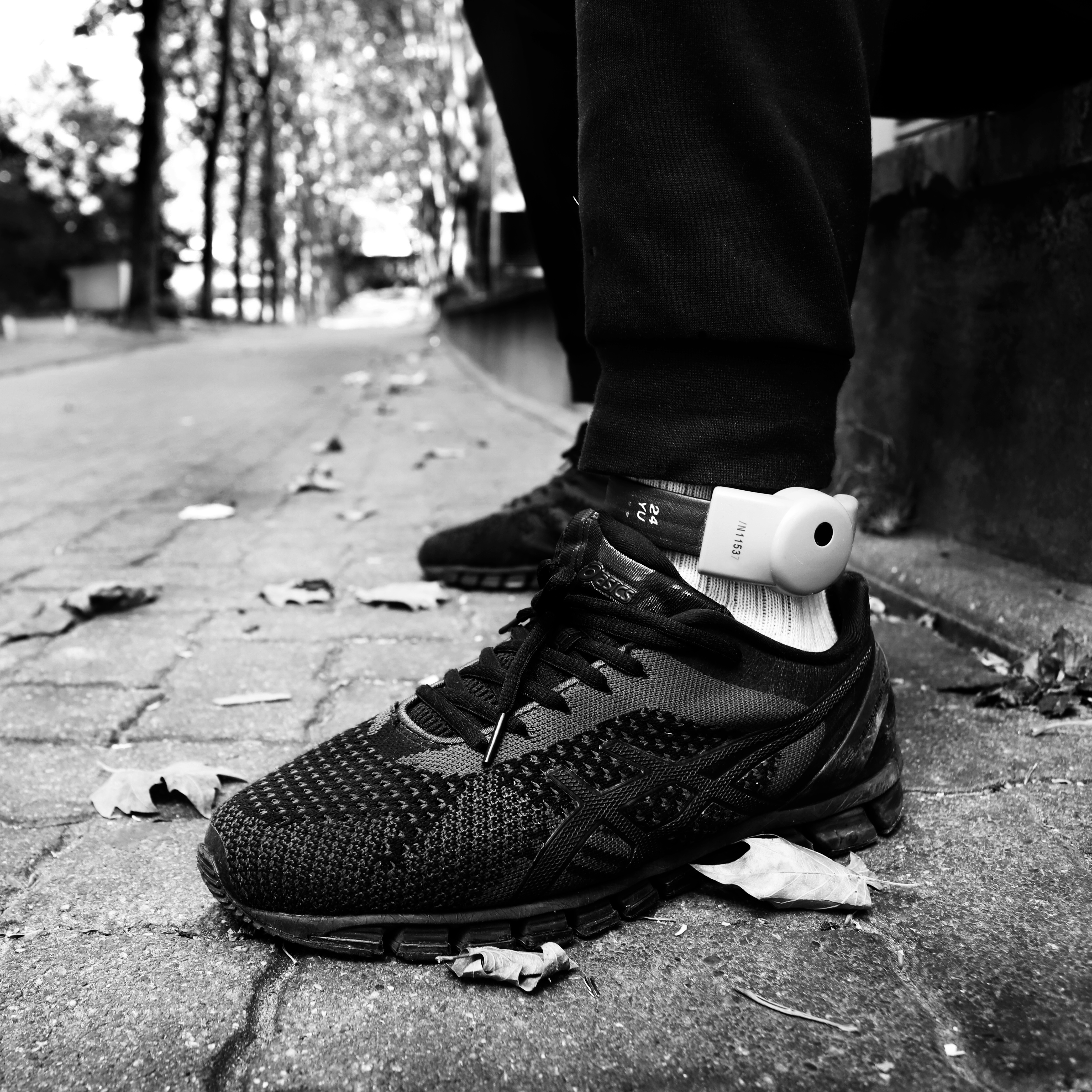 1552995545322-Prison-doree-quartier-echat