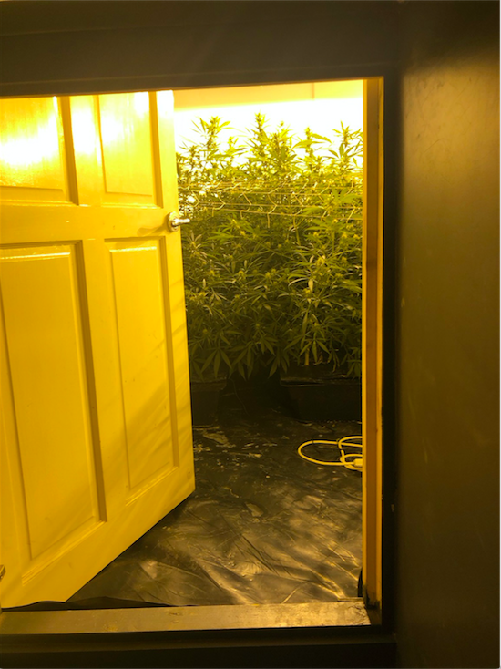 Hidden In A North London Home Is This Secret Weed Narnia Vice