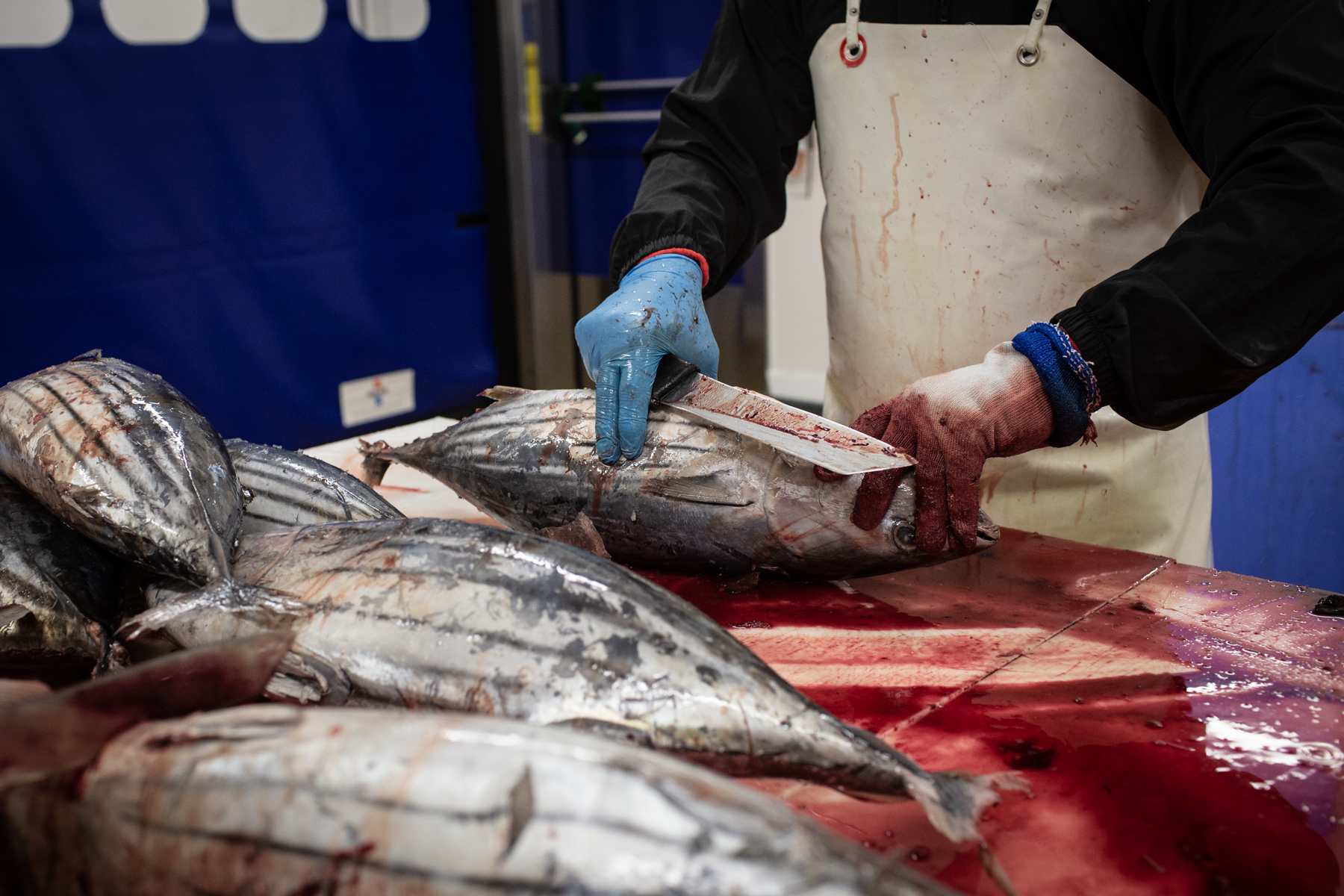 1553100149279-HL-Thibaut-Godet-7486 Katsuobushi 3