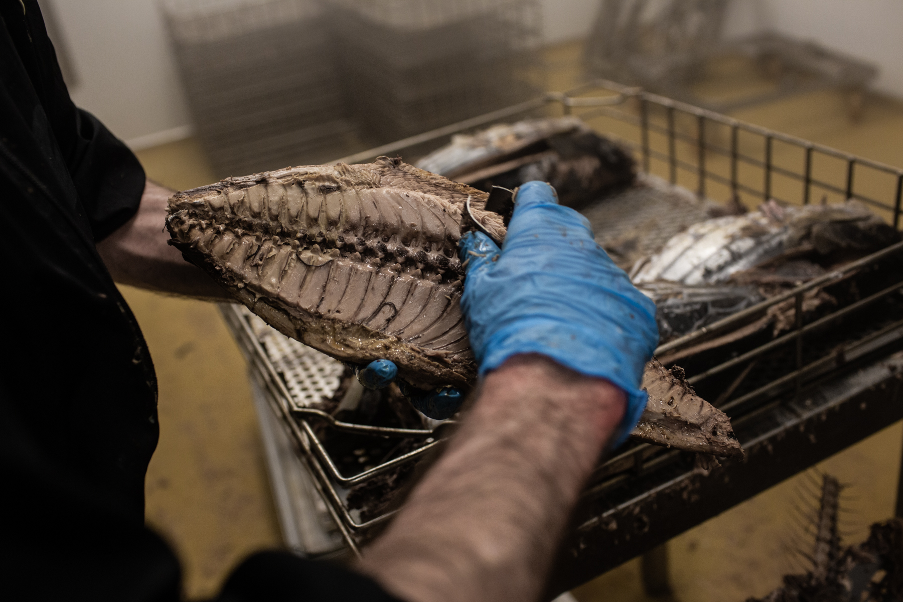 1553102450796-HL-Thibaut-Godet-8229 Katsuobushi 10
