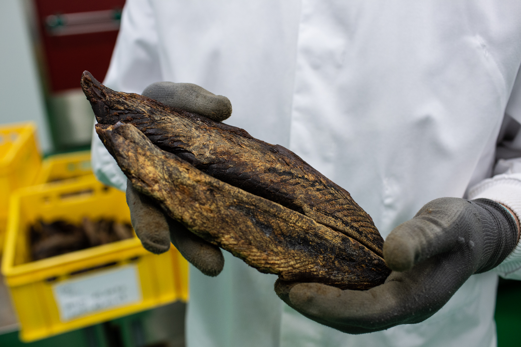1553102563484-HL-Thibaut-Godet-8777 Katsuobushi 13