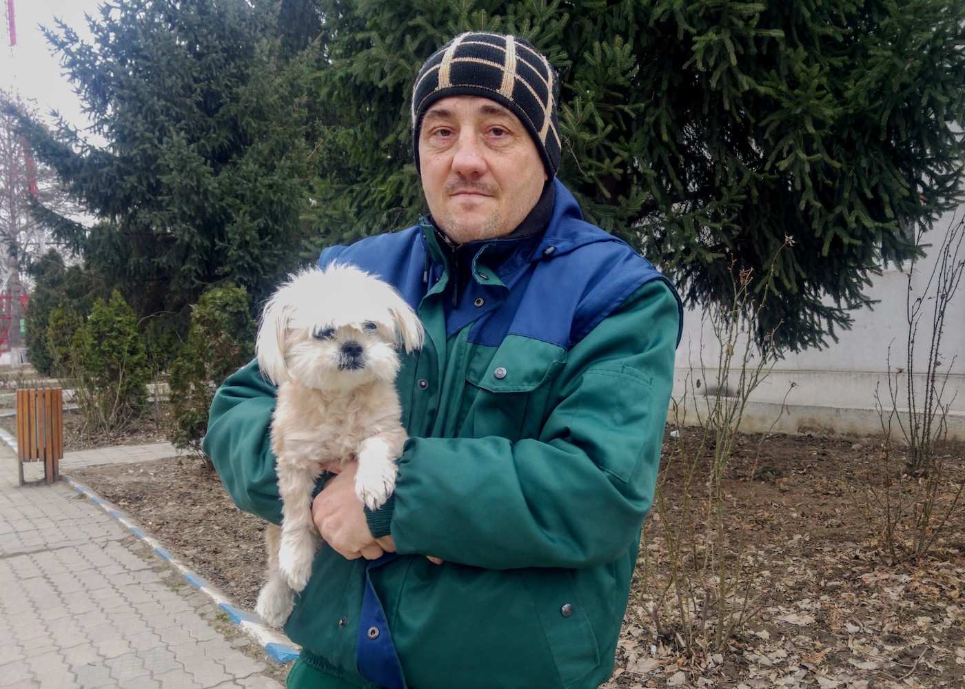 Catalin