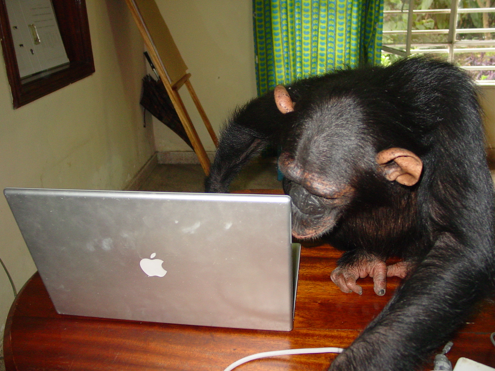 Even lekker wat losse aandeeltjes kopen en de mensheid vernederen. Foto via Laura / Flickr