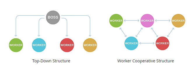 Top Down vs Co-Op structure
