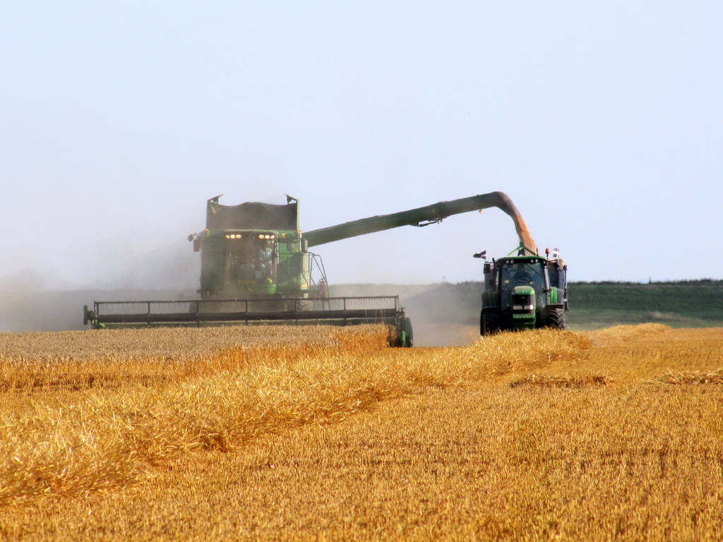 1554014180374-agricultura