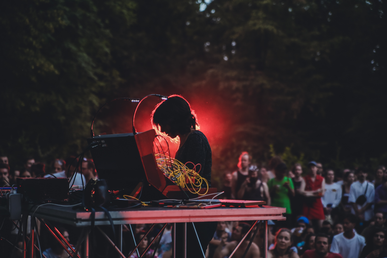 1554122229059-Suzanne-Ciani-live-at-Terraforma_June-2017_2_credits-Michela-Di-Savino