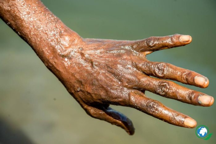een bruine hand