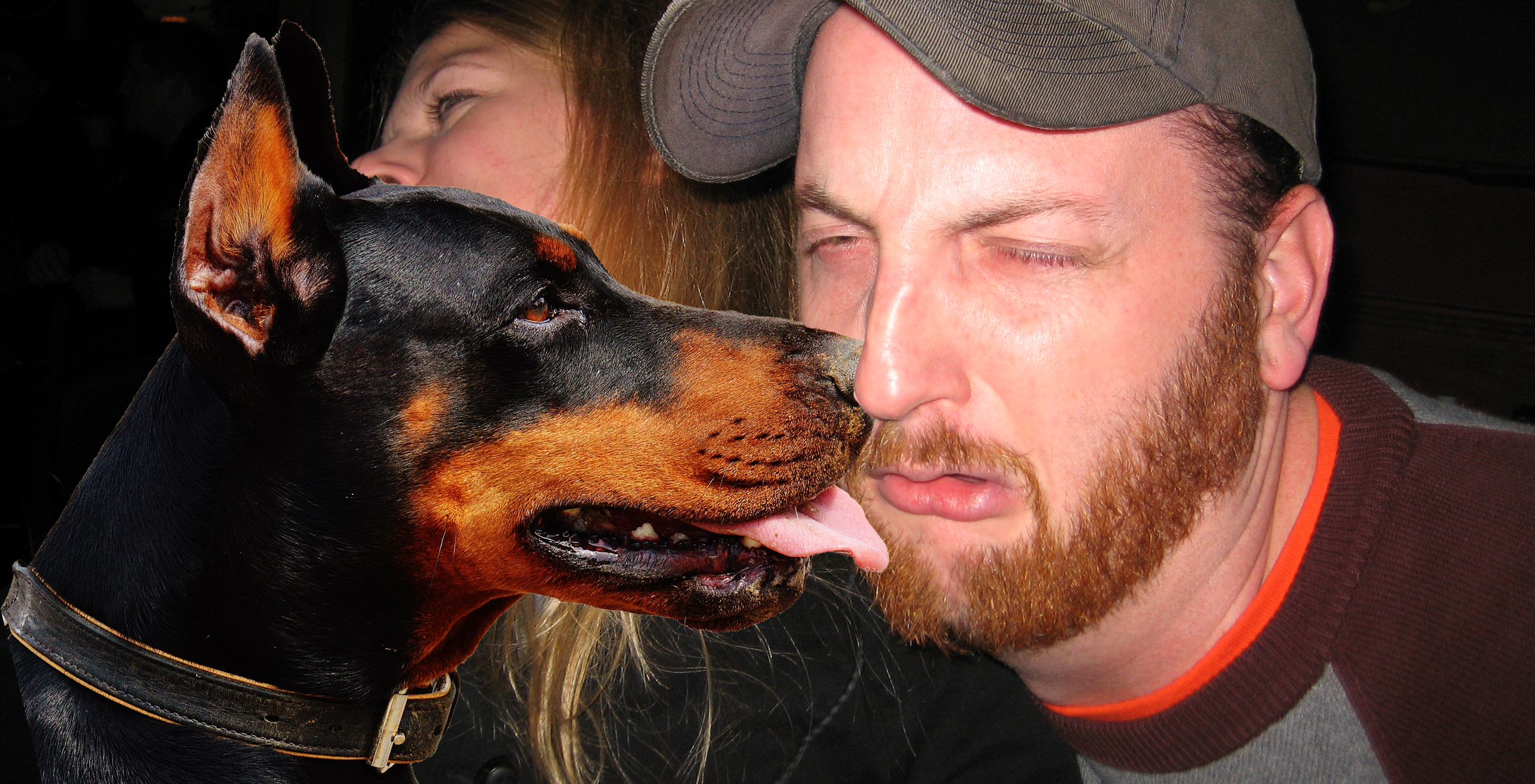 hond likt man