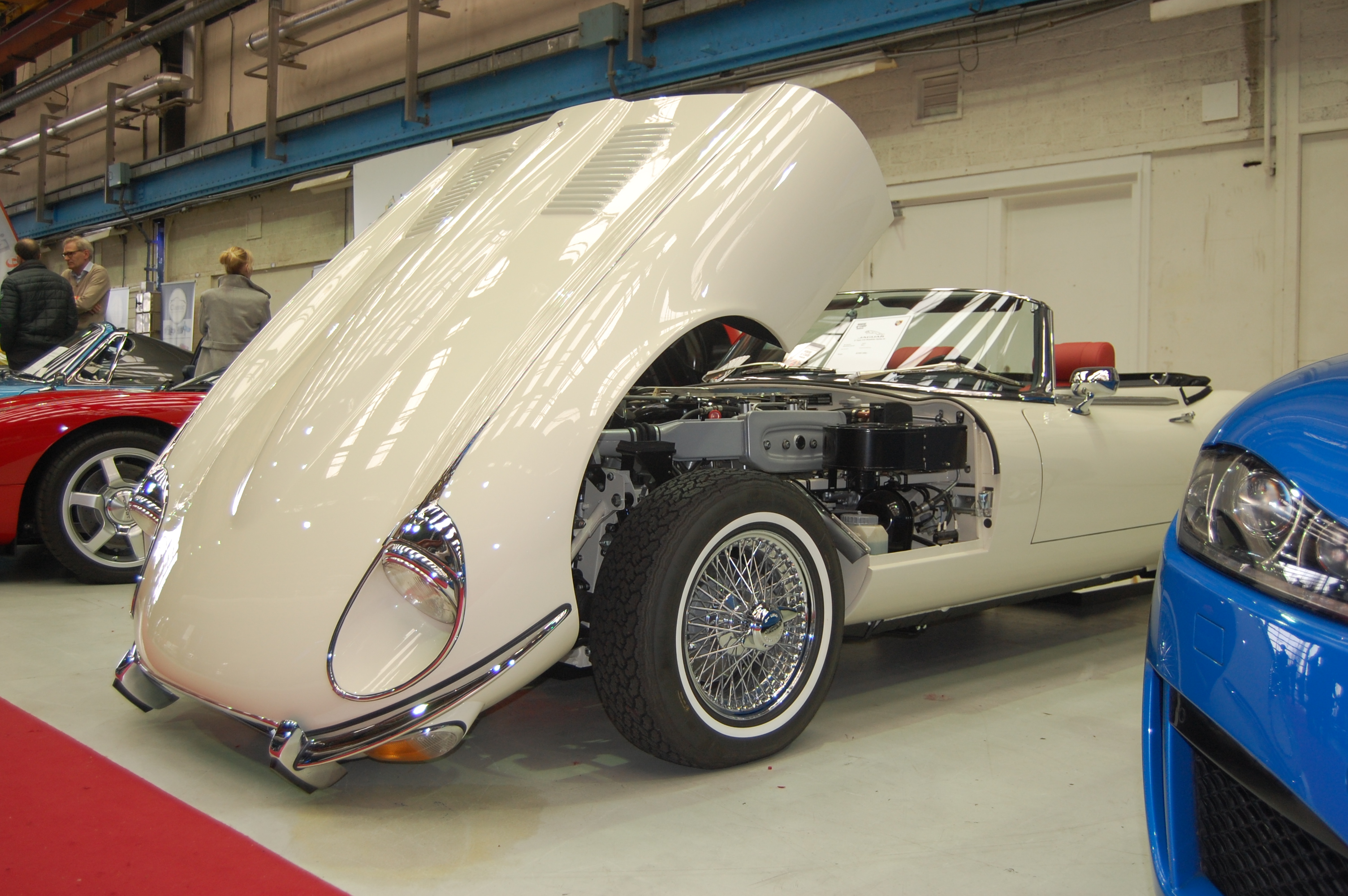 witte auto