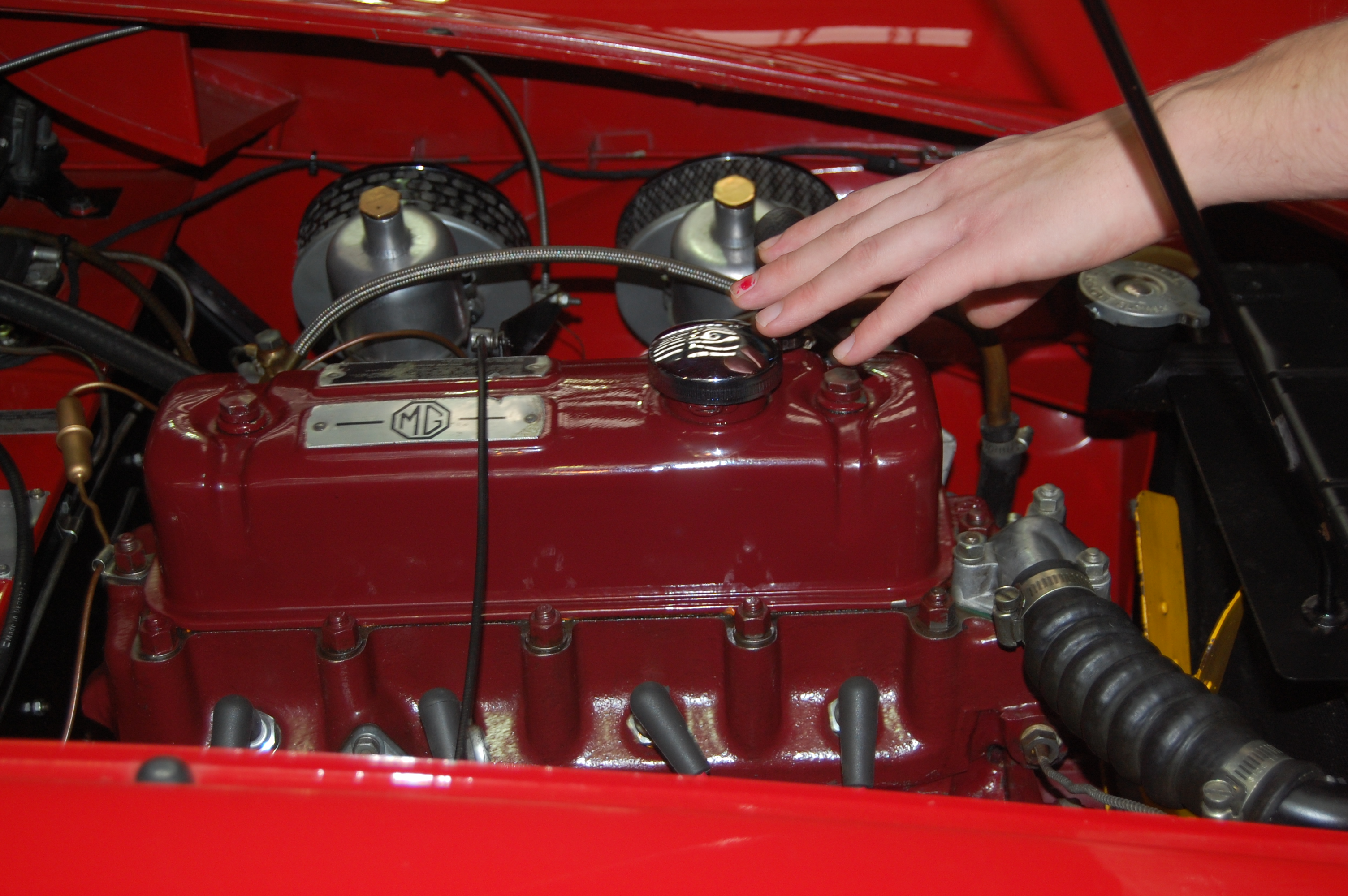 motor