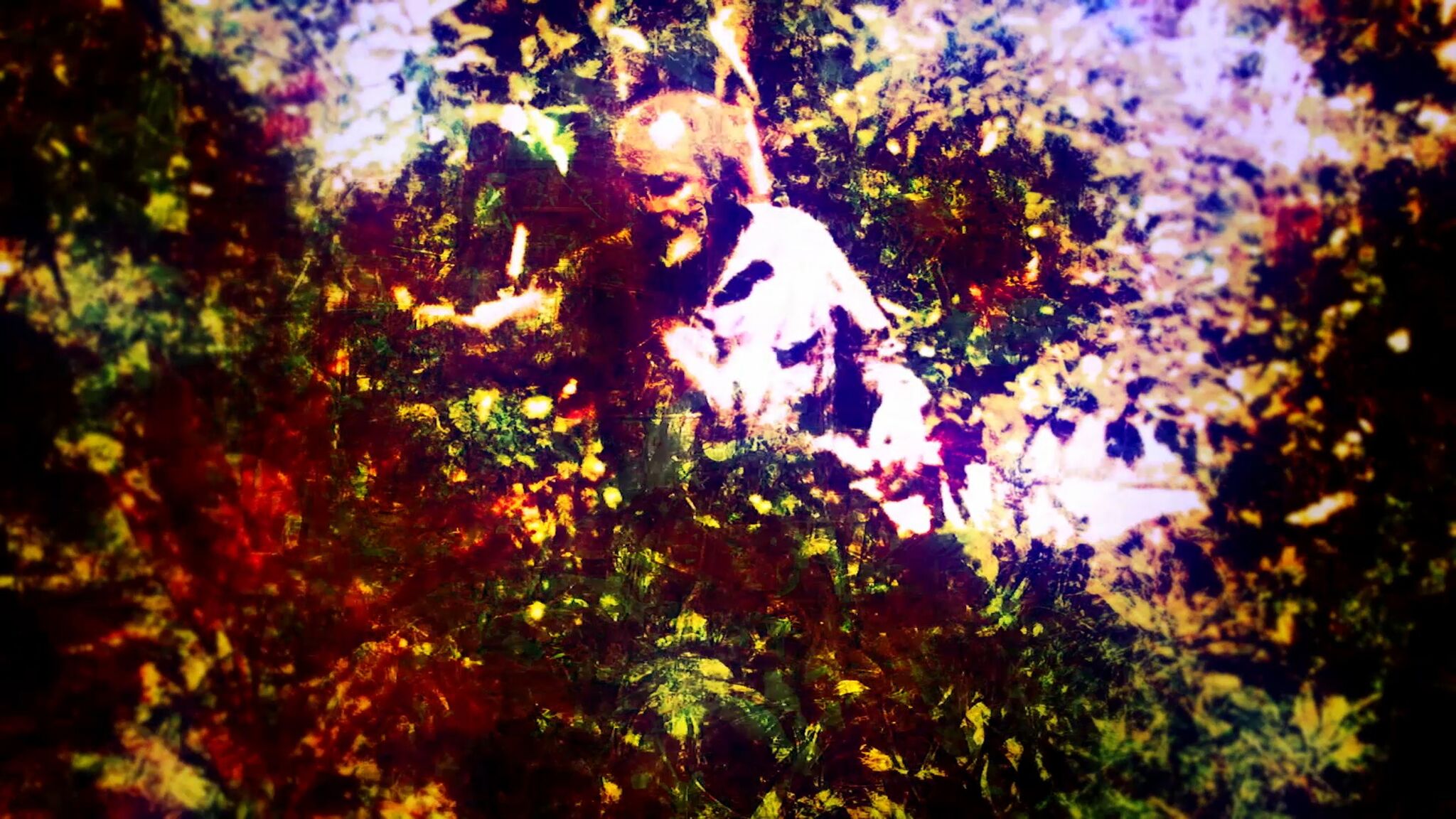 1554803325145-Milford-Graves-VXhHiIU3