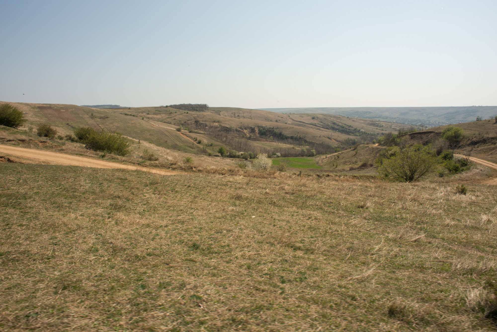 teren