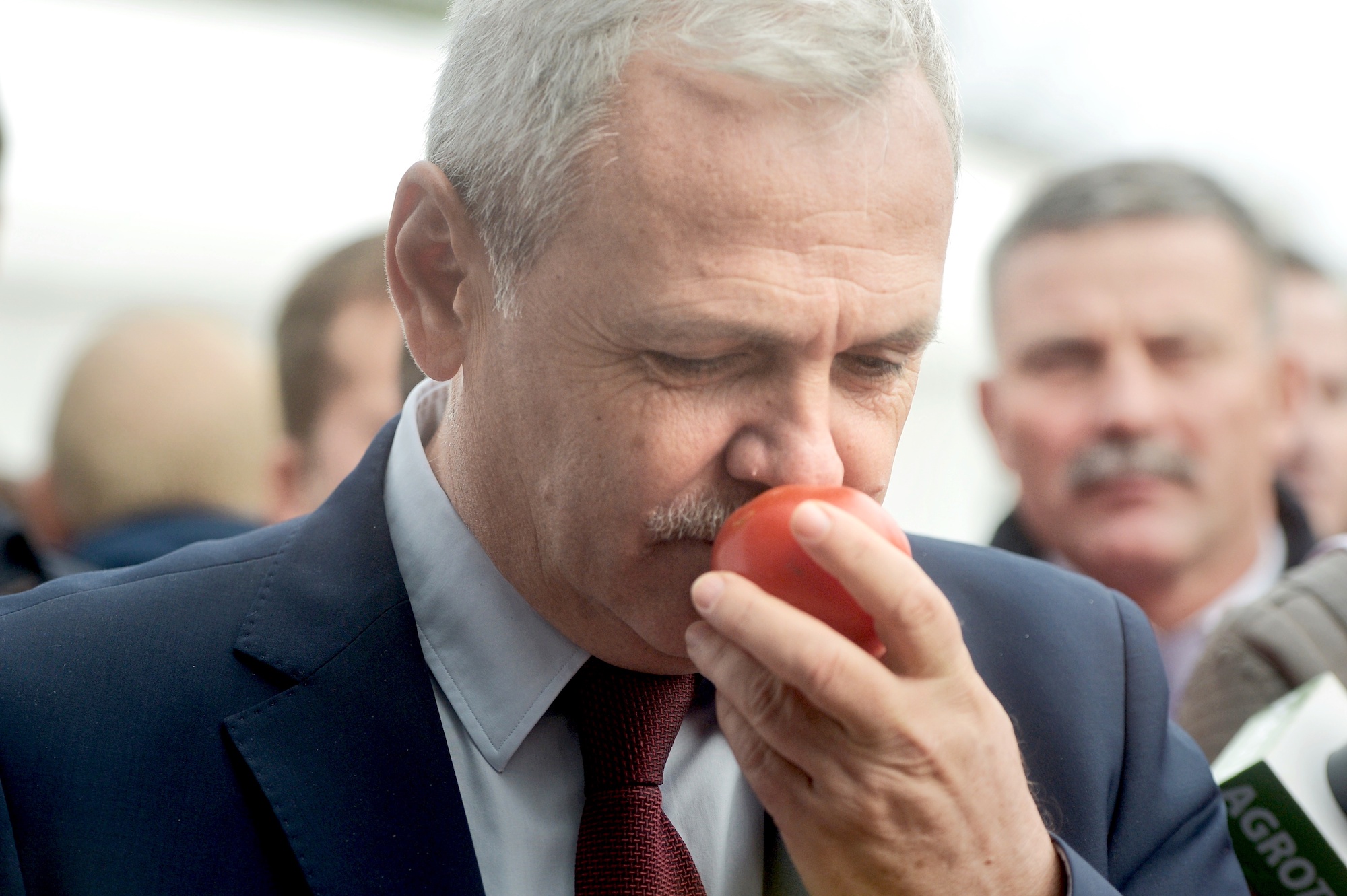 Dragnea