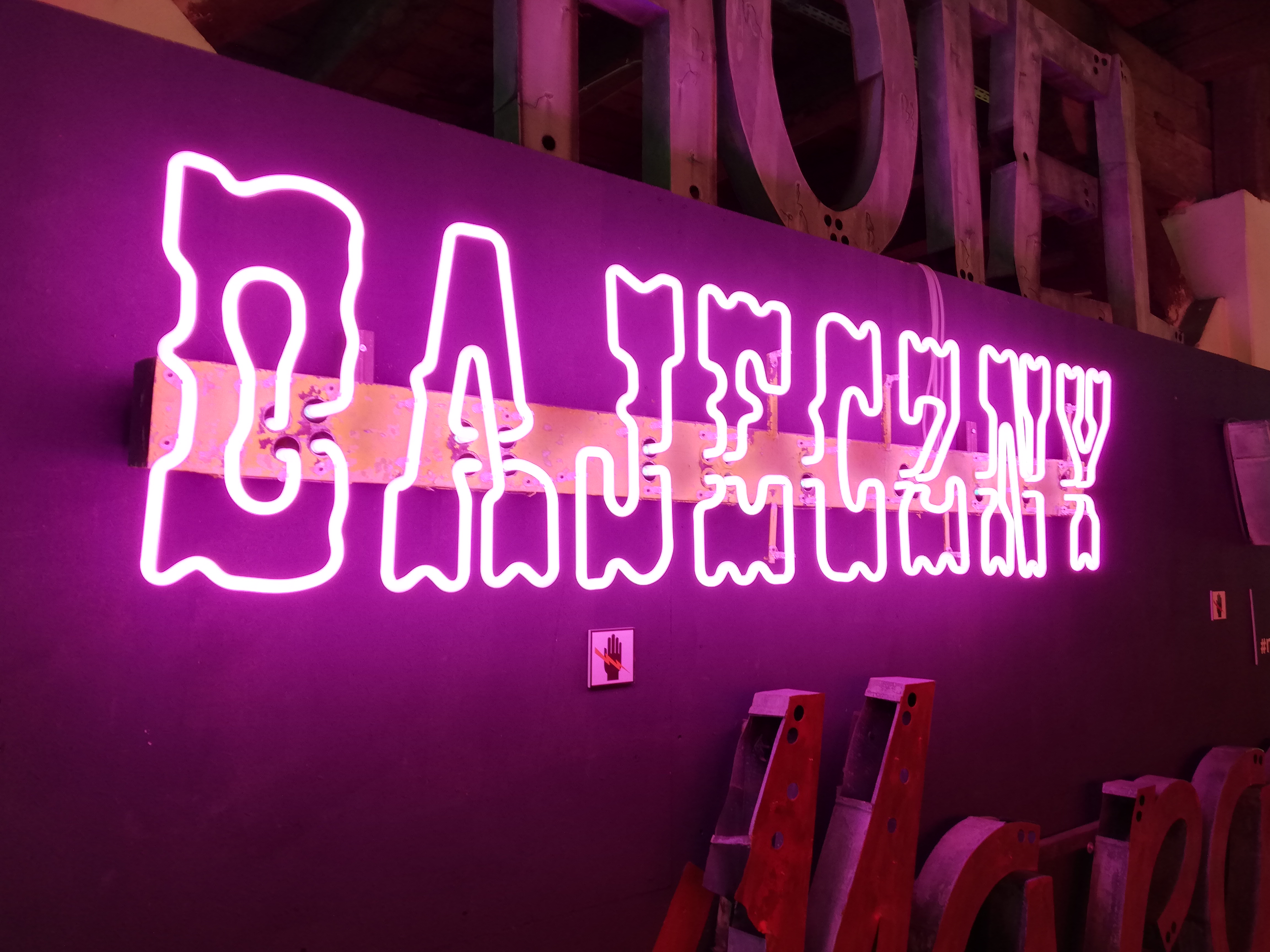 Neon-museum-SK-8