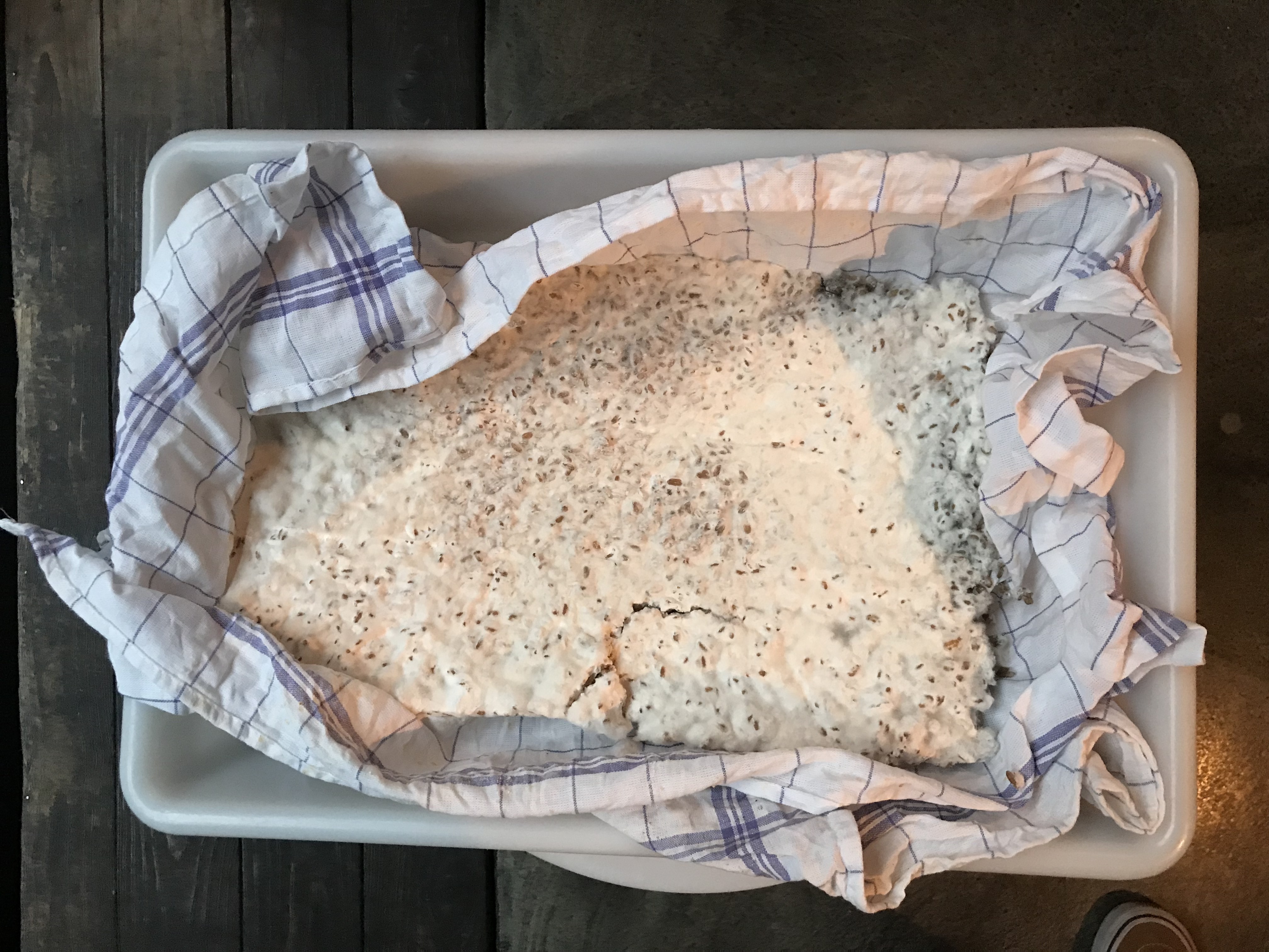 koji