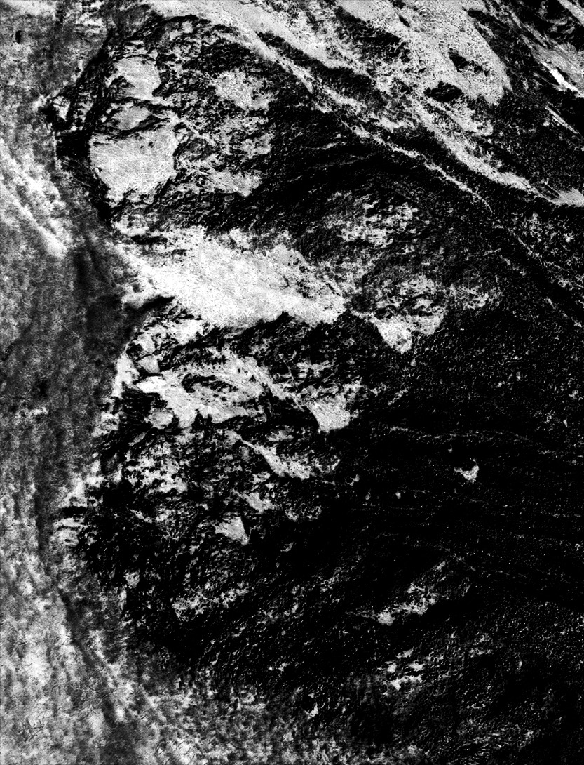 1555487990488-10770026