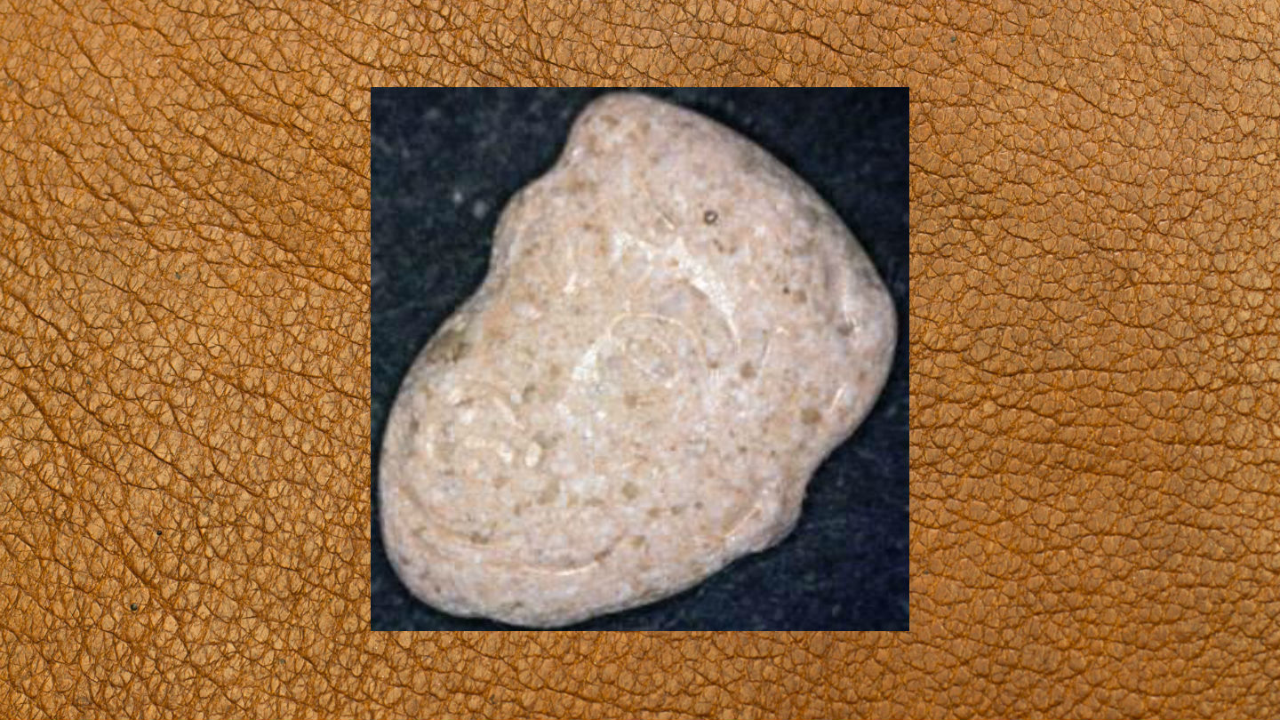 1555586625876-ecstasy_pille_beige_-trump
