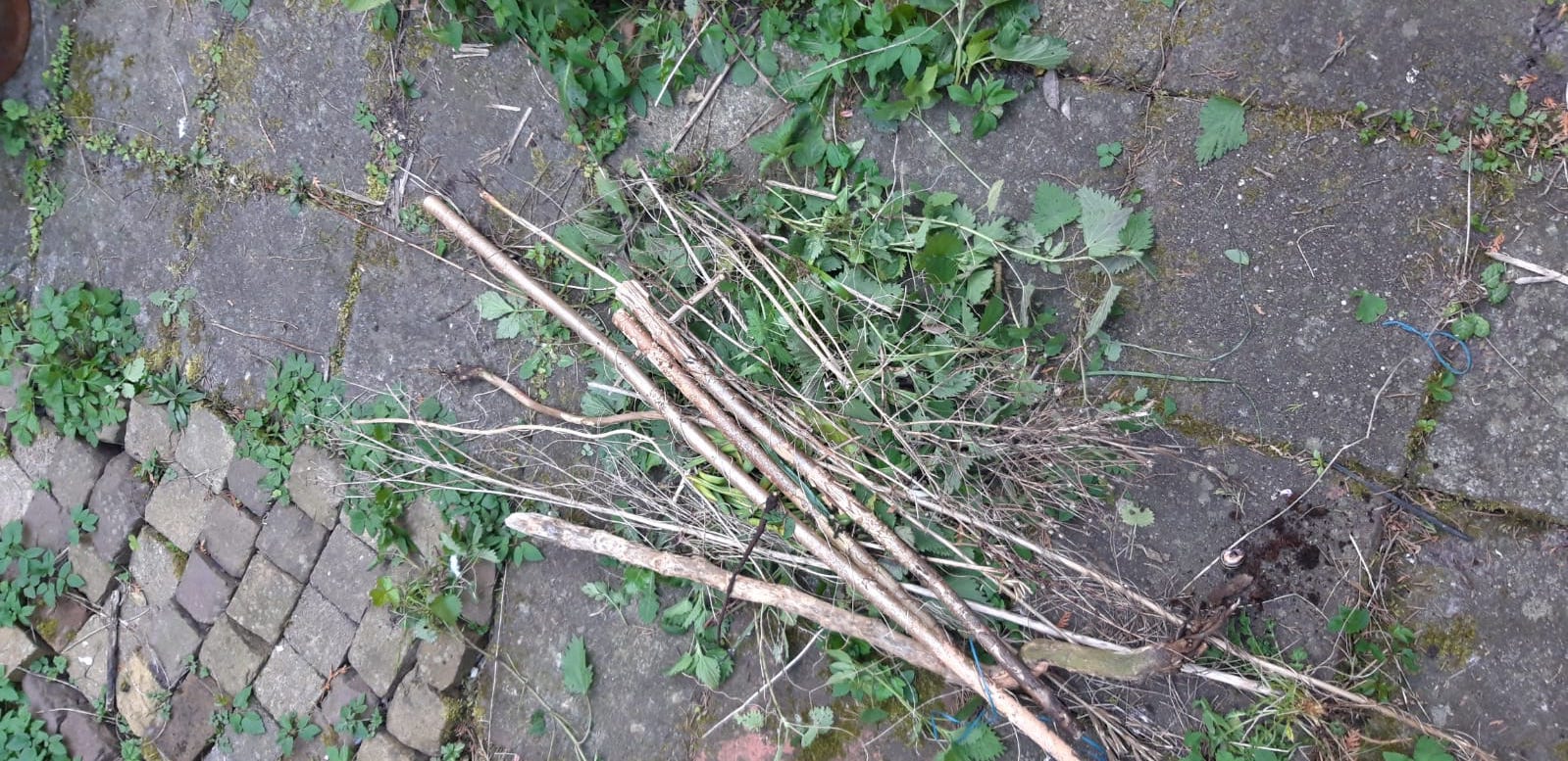 1555678237431-tuin1