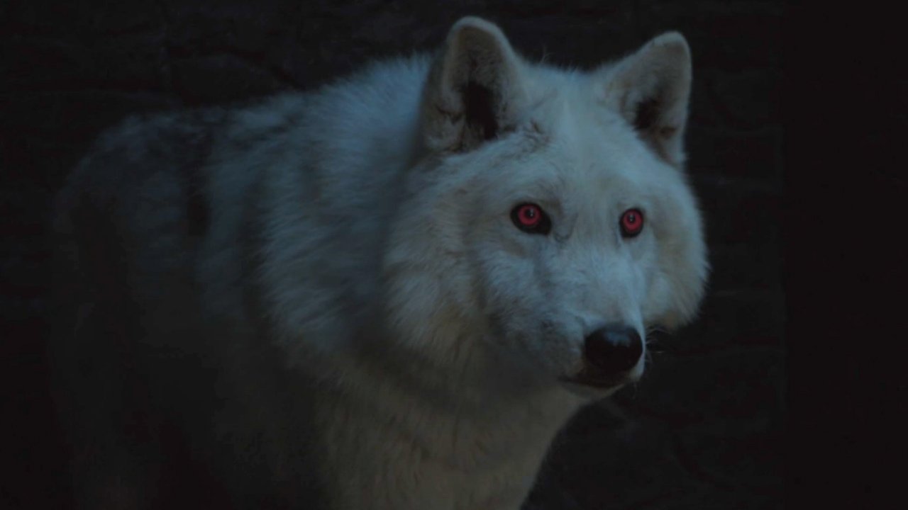 1556128617537-where-is-ghost-game-of-thrones-season-8-1555383037232_1280w