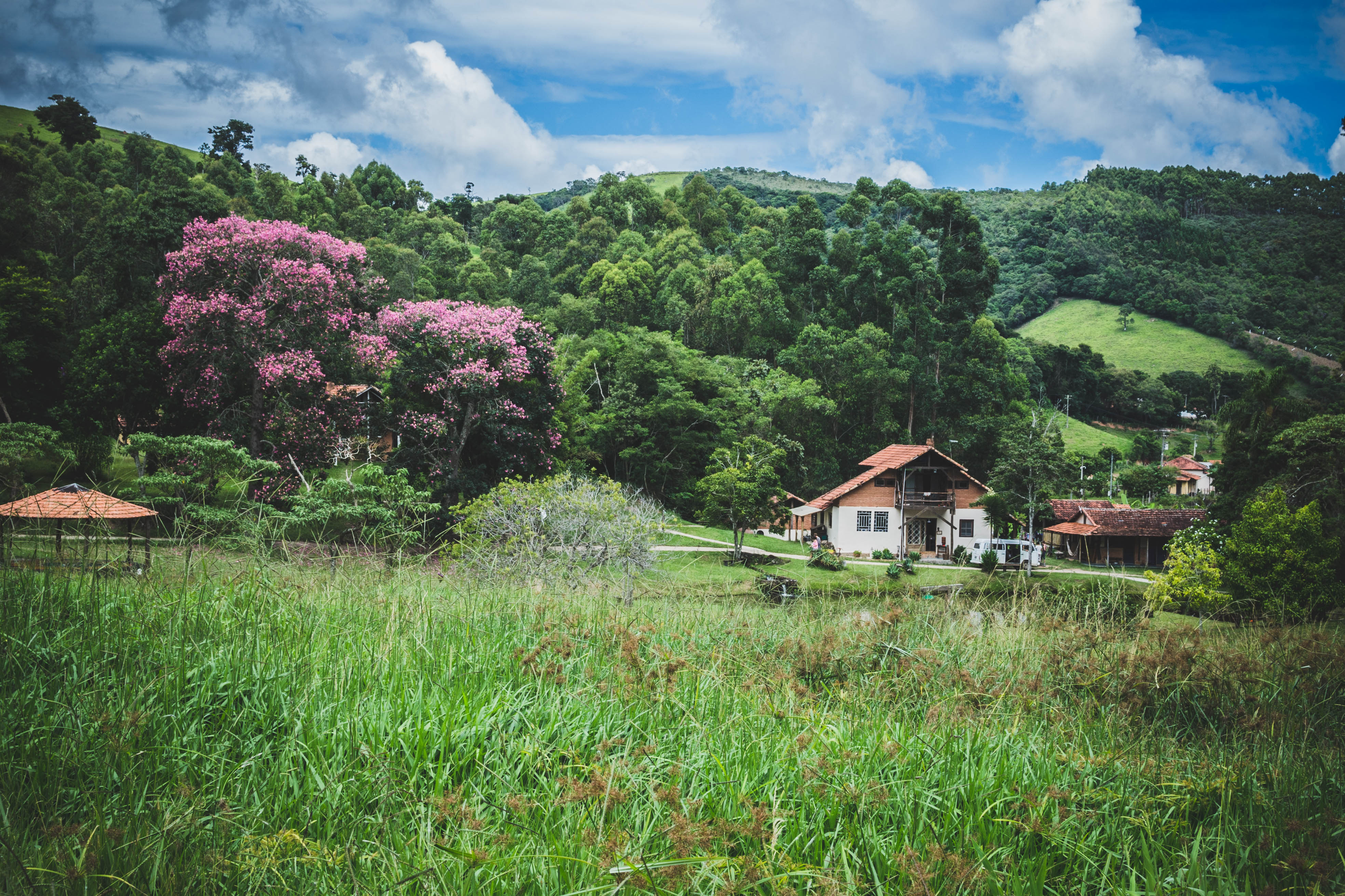 1556532115831-photography-12