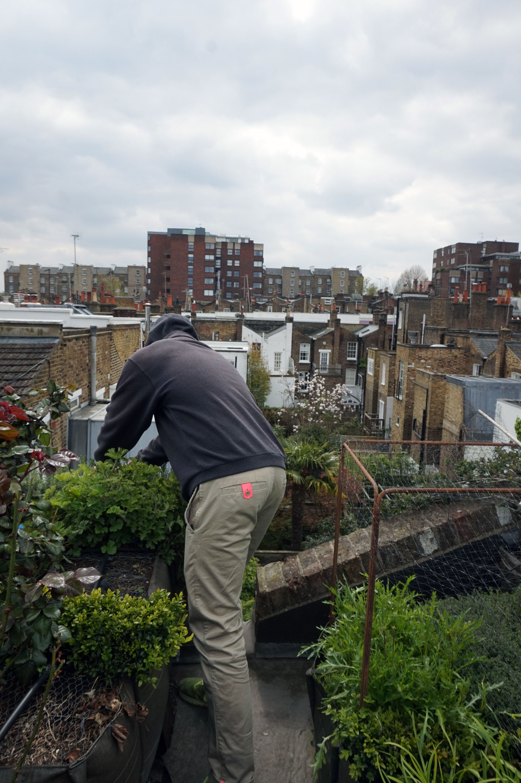 1556710781323-Ping-Roof-Garden-4