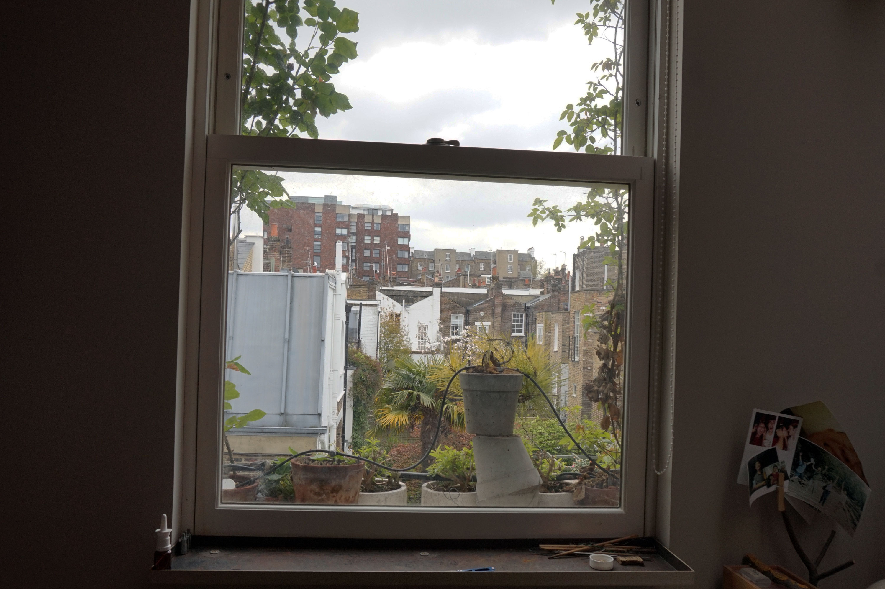 1556723354380-View-from-his-bedroom-window