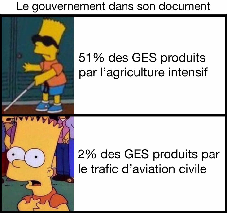 1556829159550-5-meme